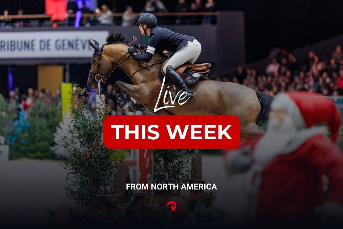 Live Highlights This Week