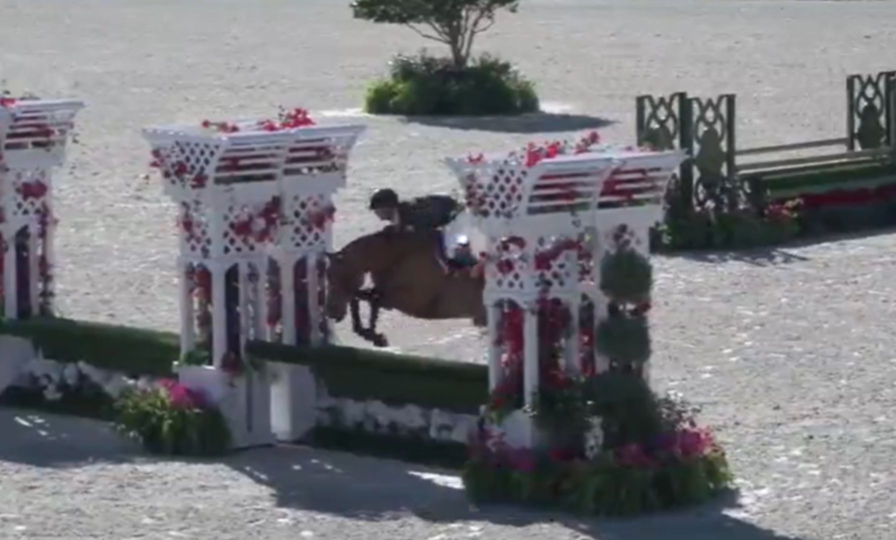 Jake Evans and Effortlessly Cool Shine Bright