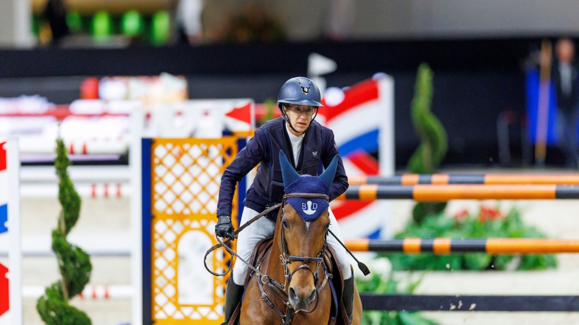 Kent, McLain, and Laura - A Brief Review of their Year of Show Jumping