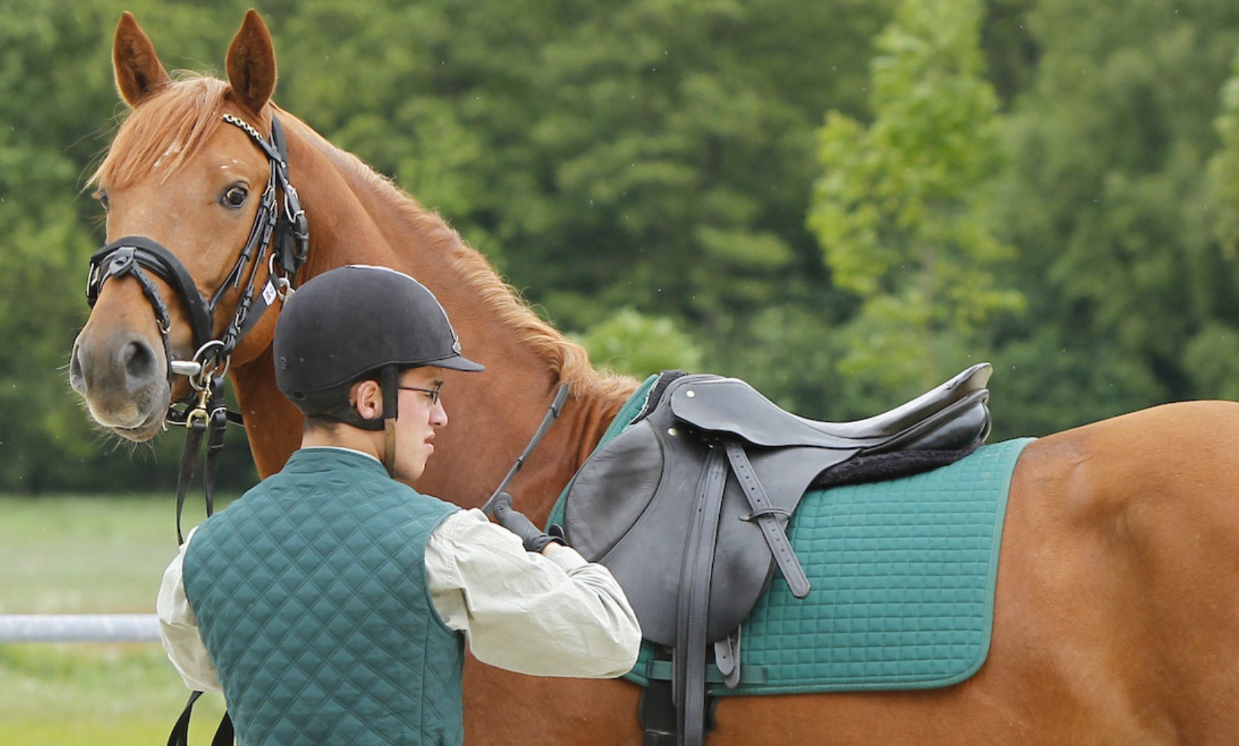World Equestrian Center Announces Partnership with Dover Saddlery