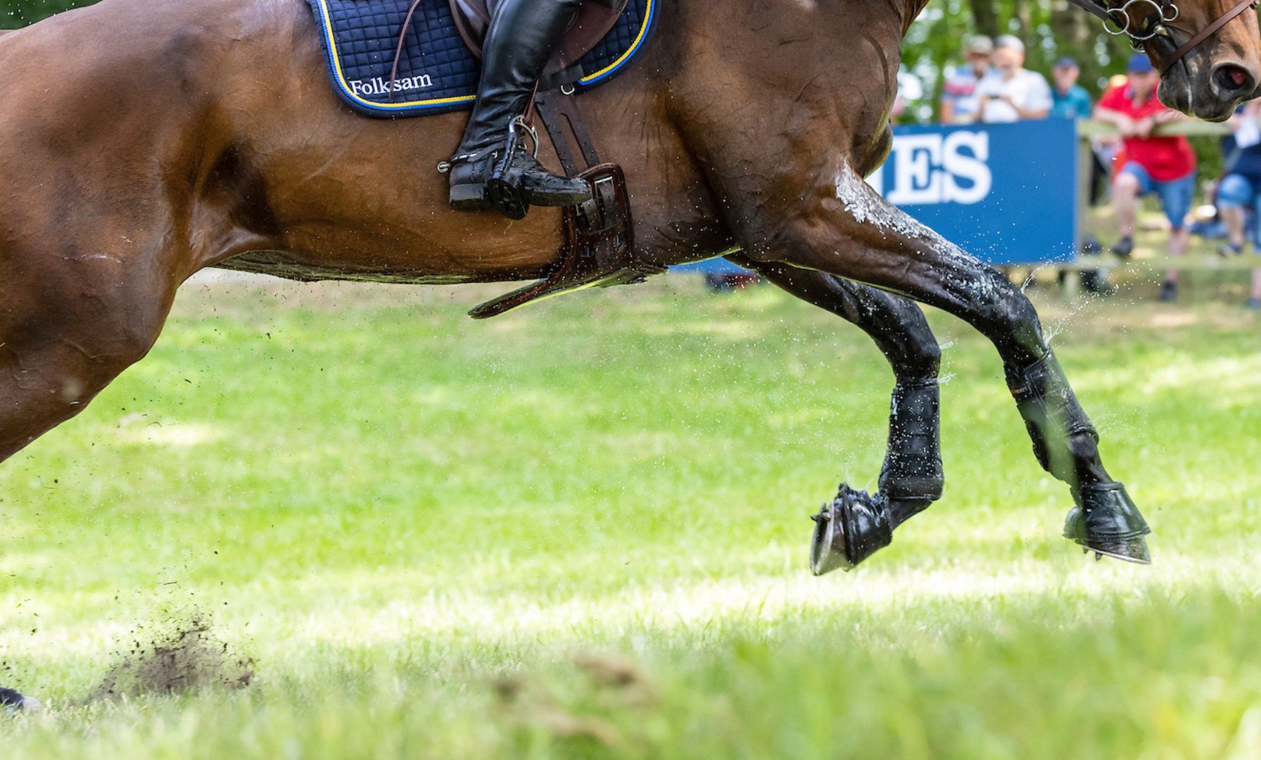 Grayson-Jockey Club Research Foundation Approves New Funding for Equine Research