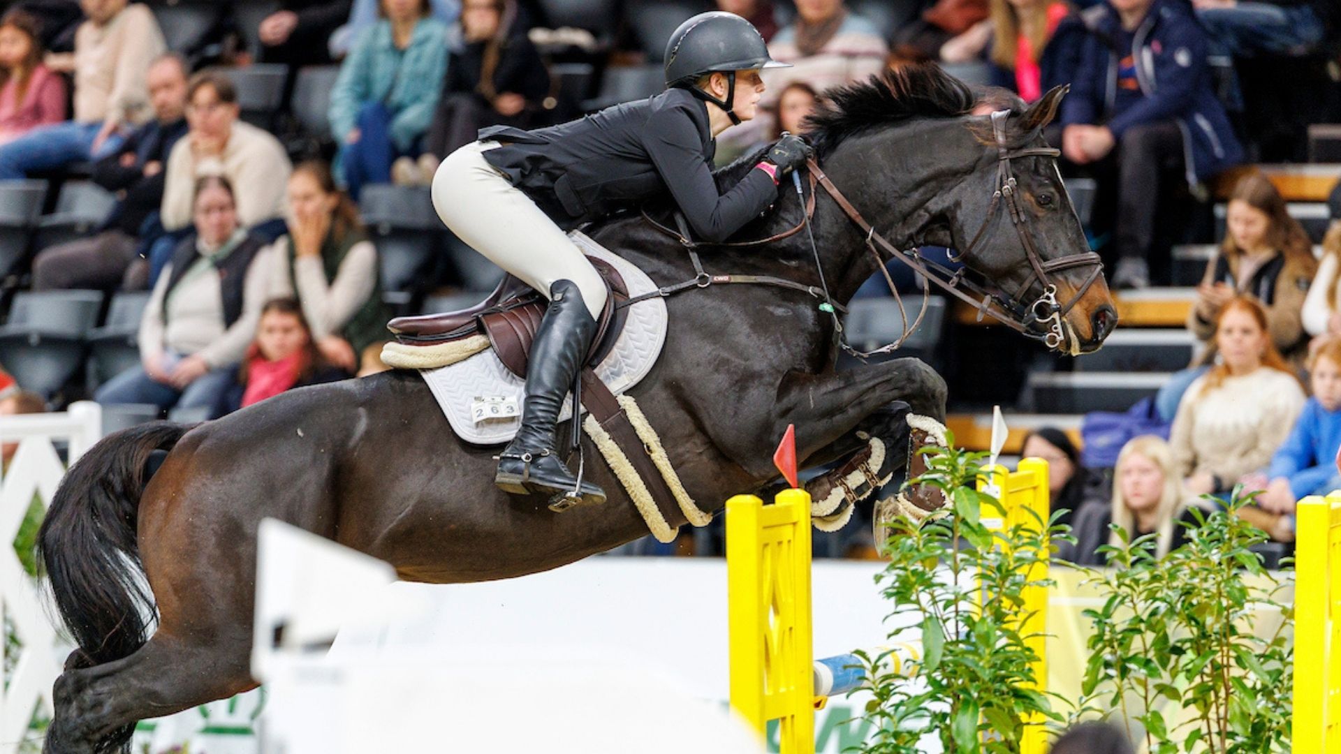 Clara Blau gewinnt CSI2*-Hauptspringen in Riesenbeck