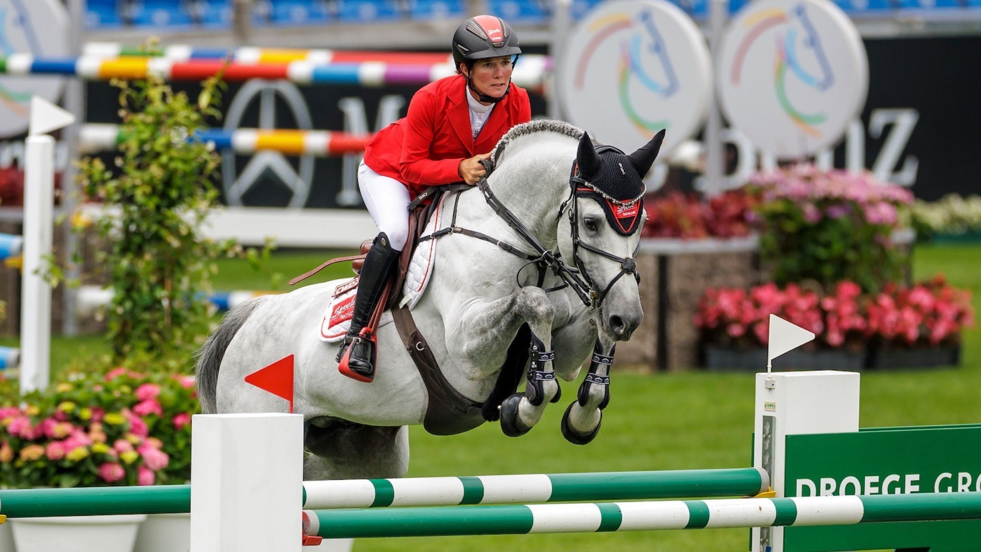 Hengstvorführung des Gestüts Sprehe am Samstagabend