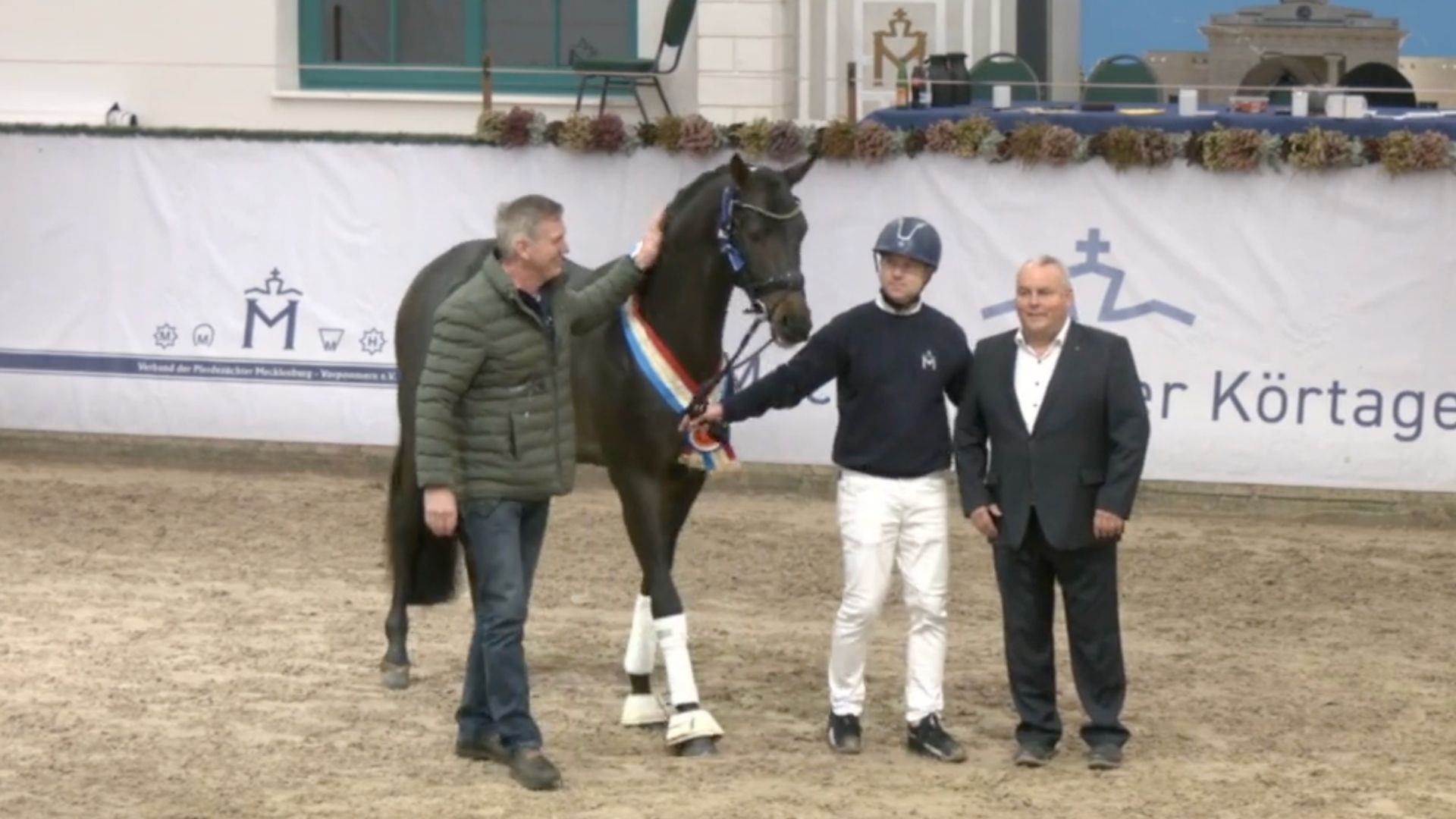 Die prämierten dressurbetonten Hengste der Mecklenburger Körtage