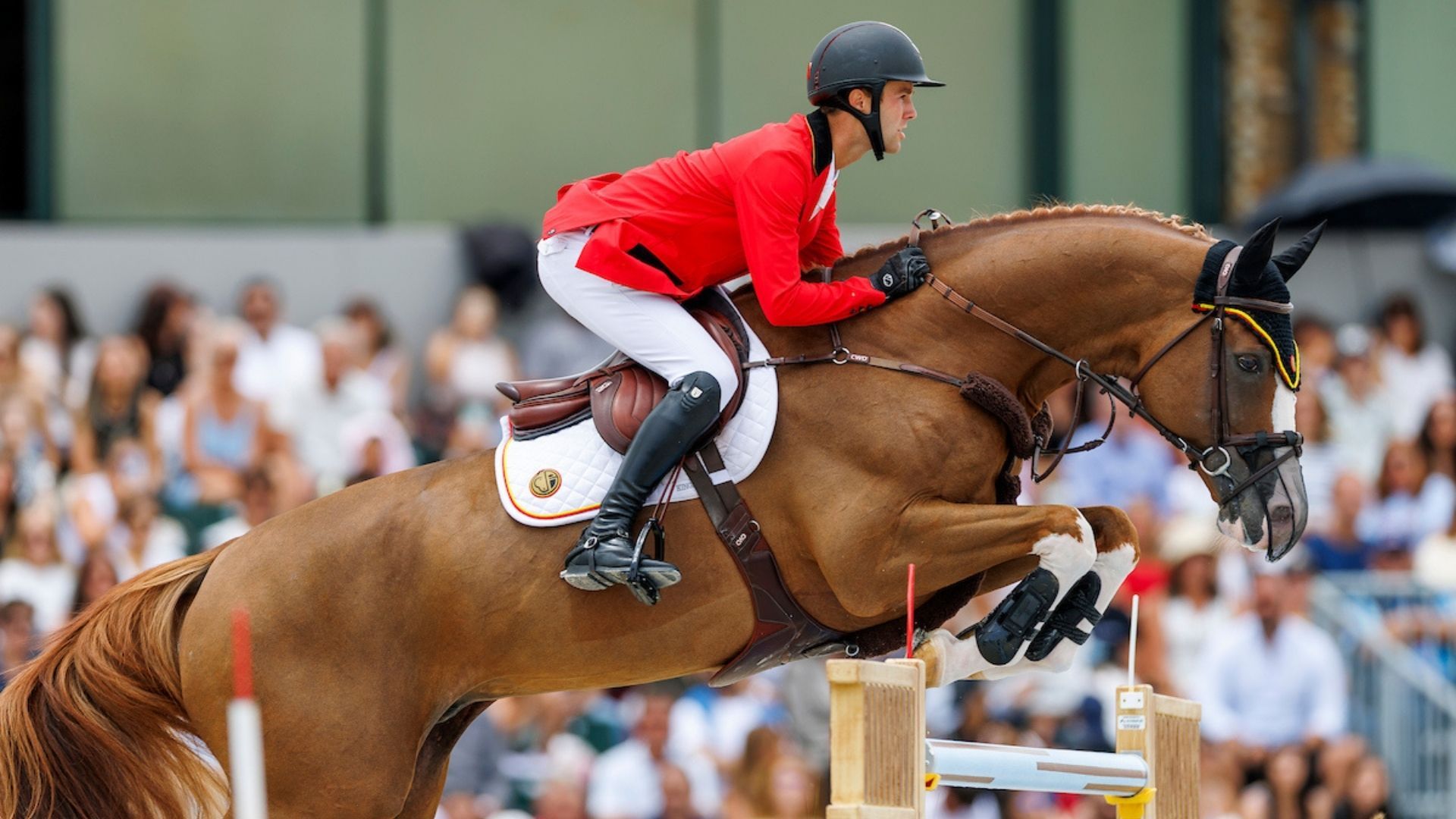 Gilles Thomas verteidigt Spitzenplatz im LGCT-Ranking