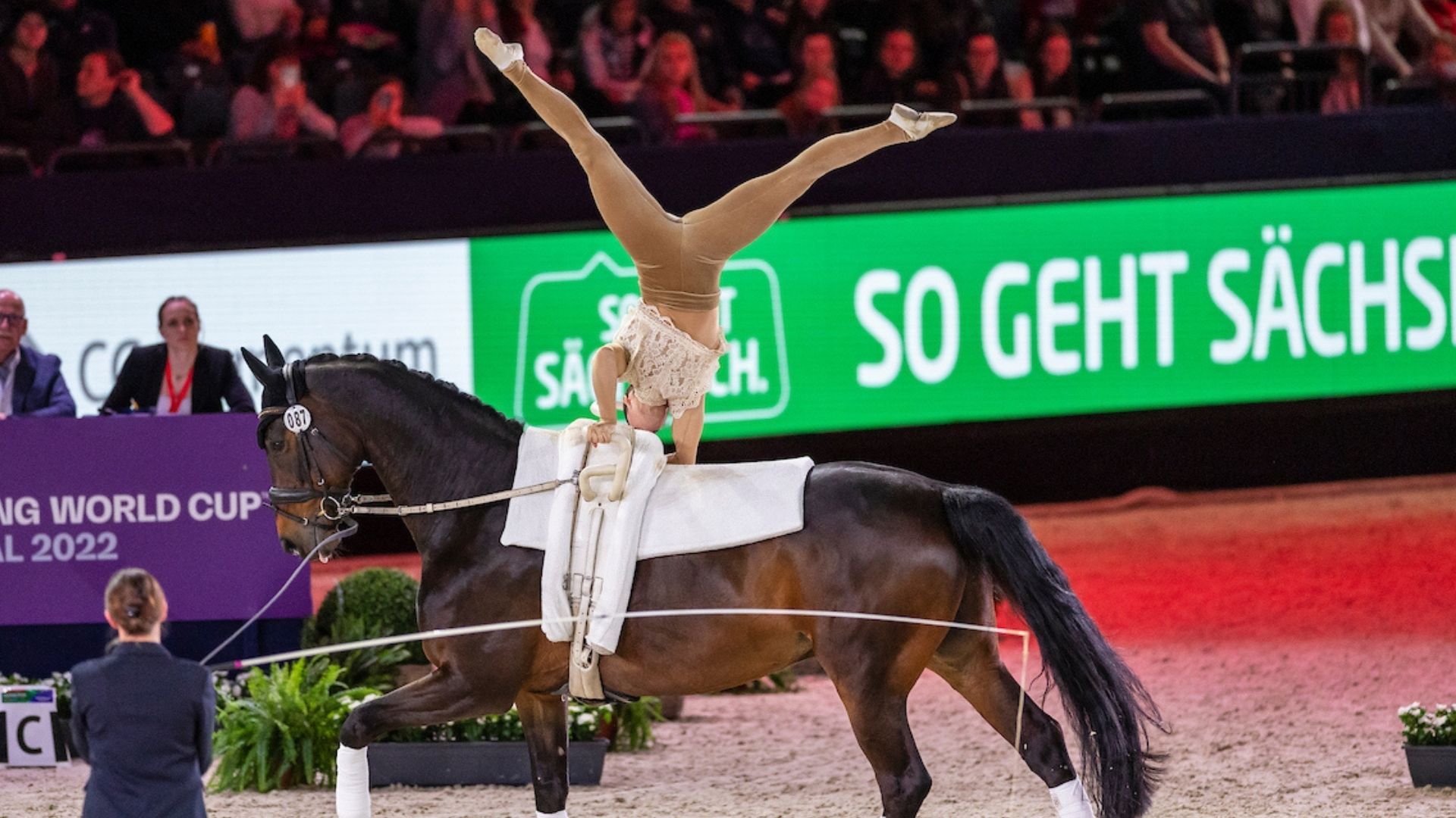 Goldenes Reiterkreuz für Voltigierrichterin Helma Schwarzmann