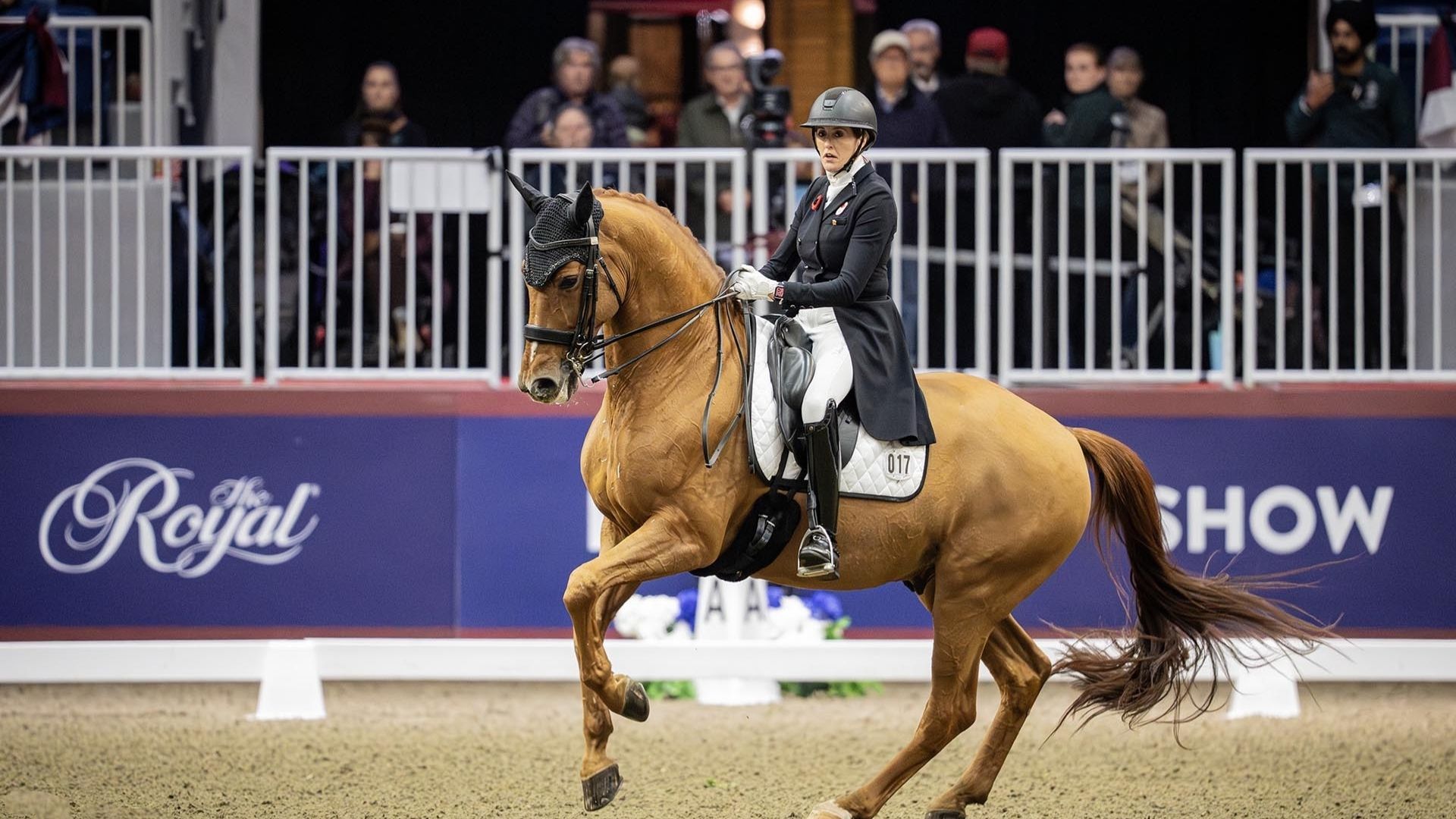 Canada’s Brittany Fraser-Beaulieu & Jaccardo Capture Toronto World Cup Freestyle
