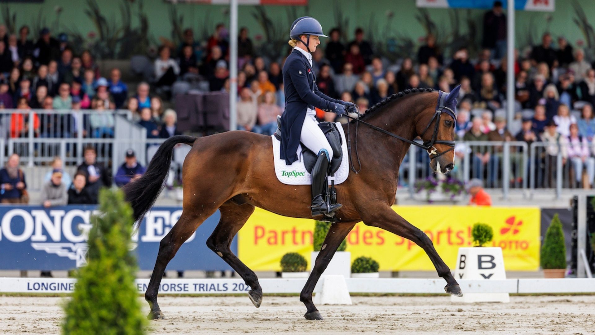 Knappe Führung für Julia Krajewski nach der Dressur im CCI4*-L in Strzegom