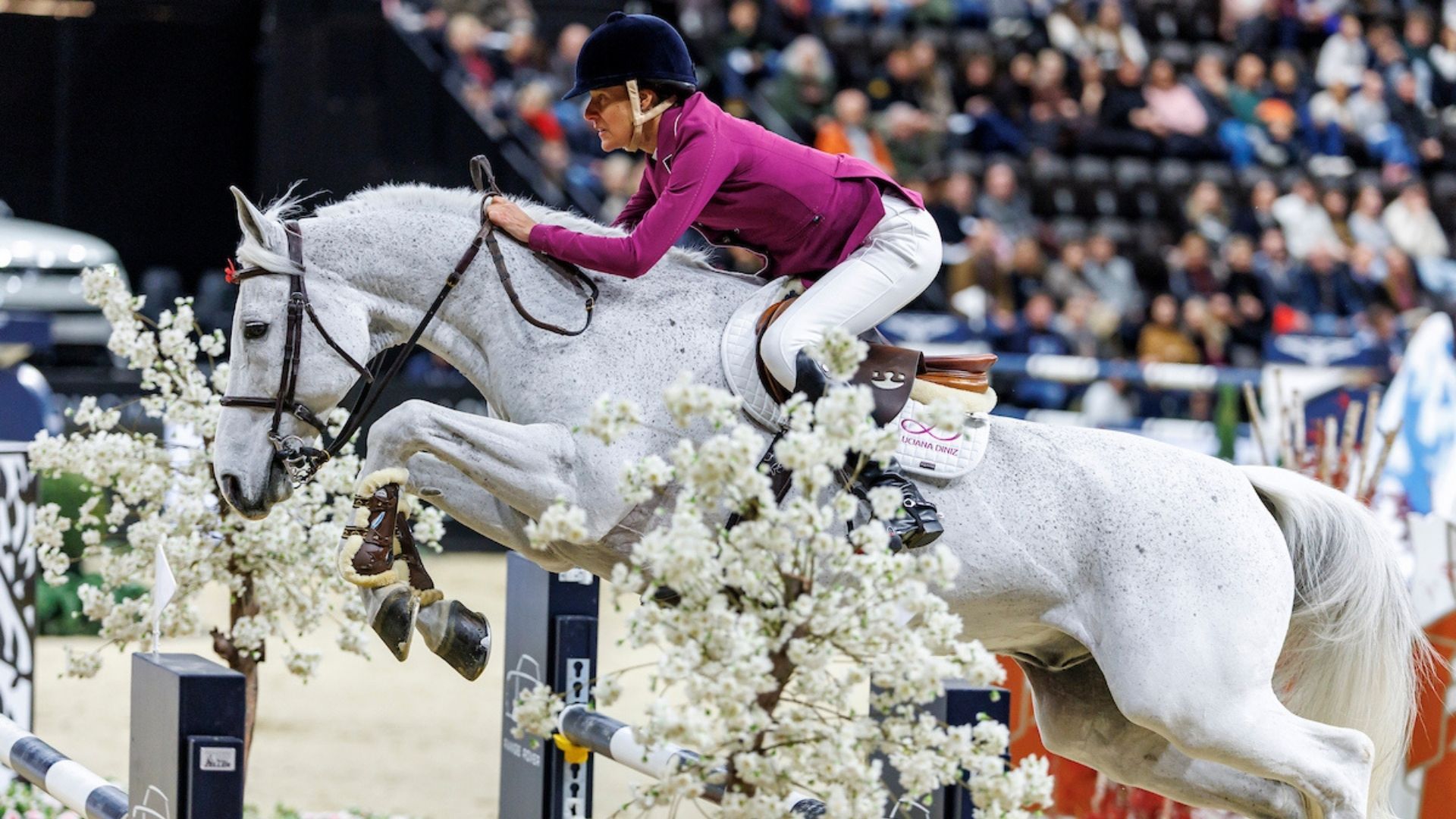 Luciana Diniz schnappt sich den Sieg im CSIO5* - Emirates Jumping Cup presented by Longines von Abu Dhabi