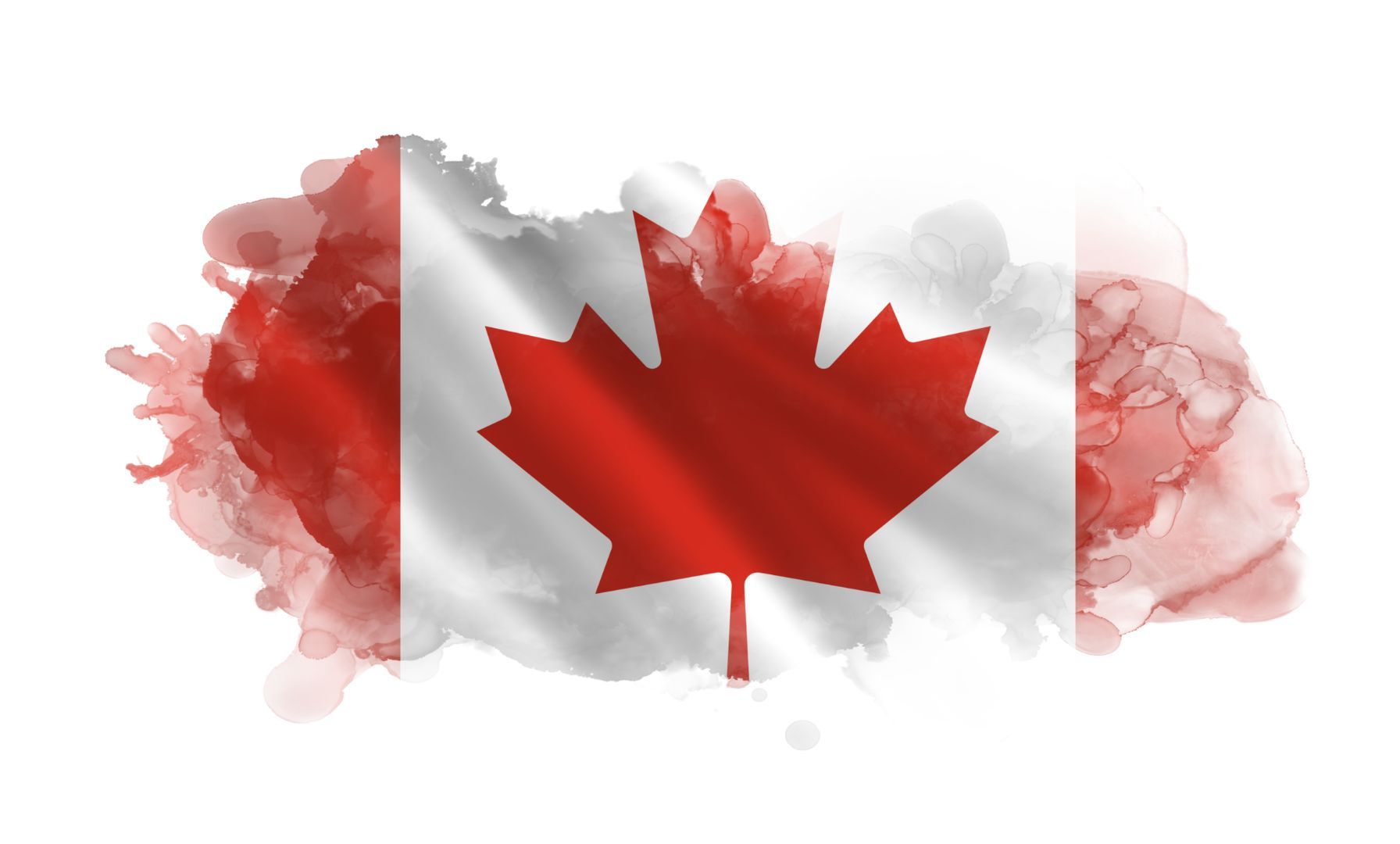 Nominations Open for Equestrian Canada Board of Directors