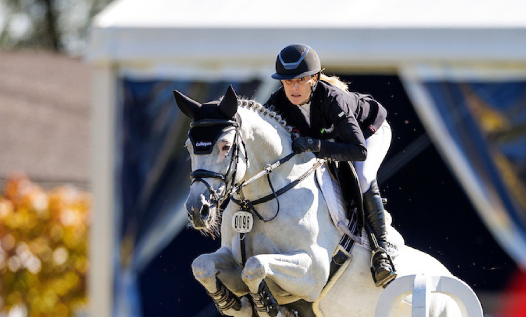 Francis Connors' former mount triumphs in Oliva