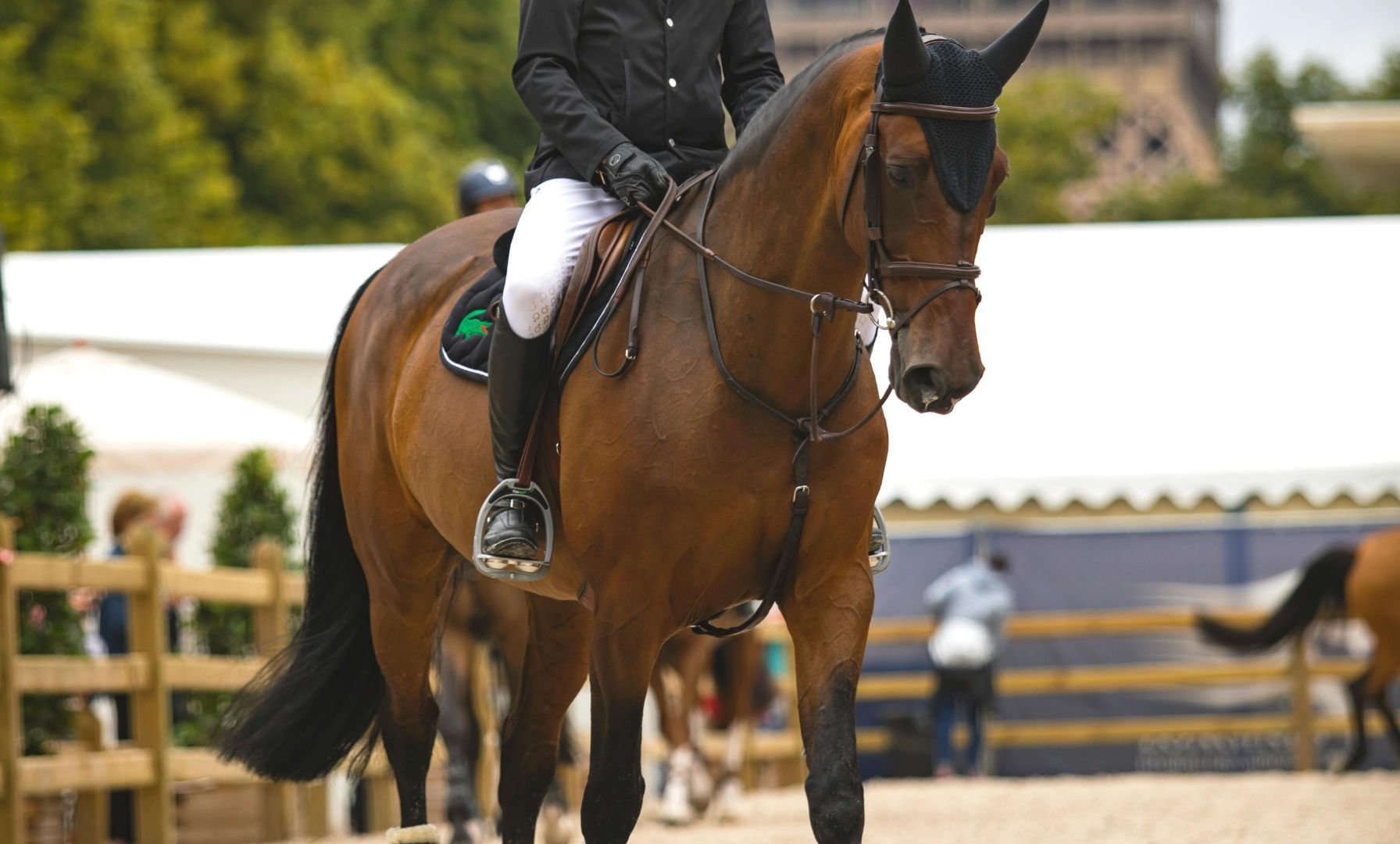 Campbell Brown and Colina Z Fly to Victory in $32,000 CSI3* Speed