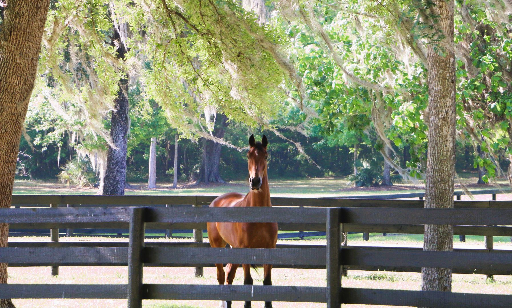 At Home With Chester Weber
