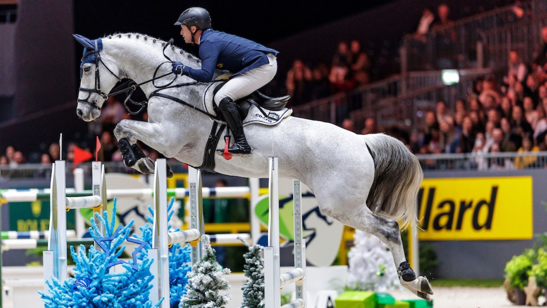 Michael Jung auf Platz 4 in der Medium Tour der CAVALIADA in Lodz