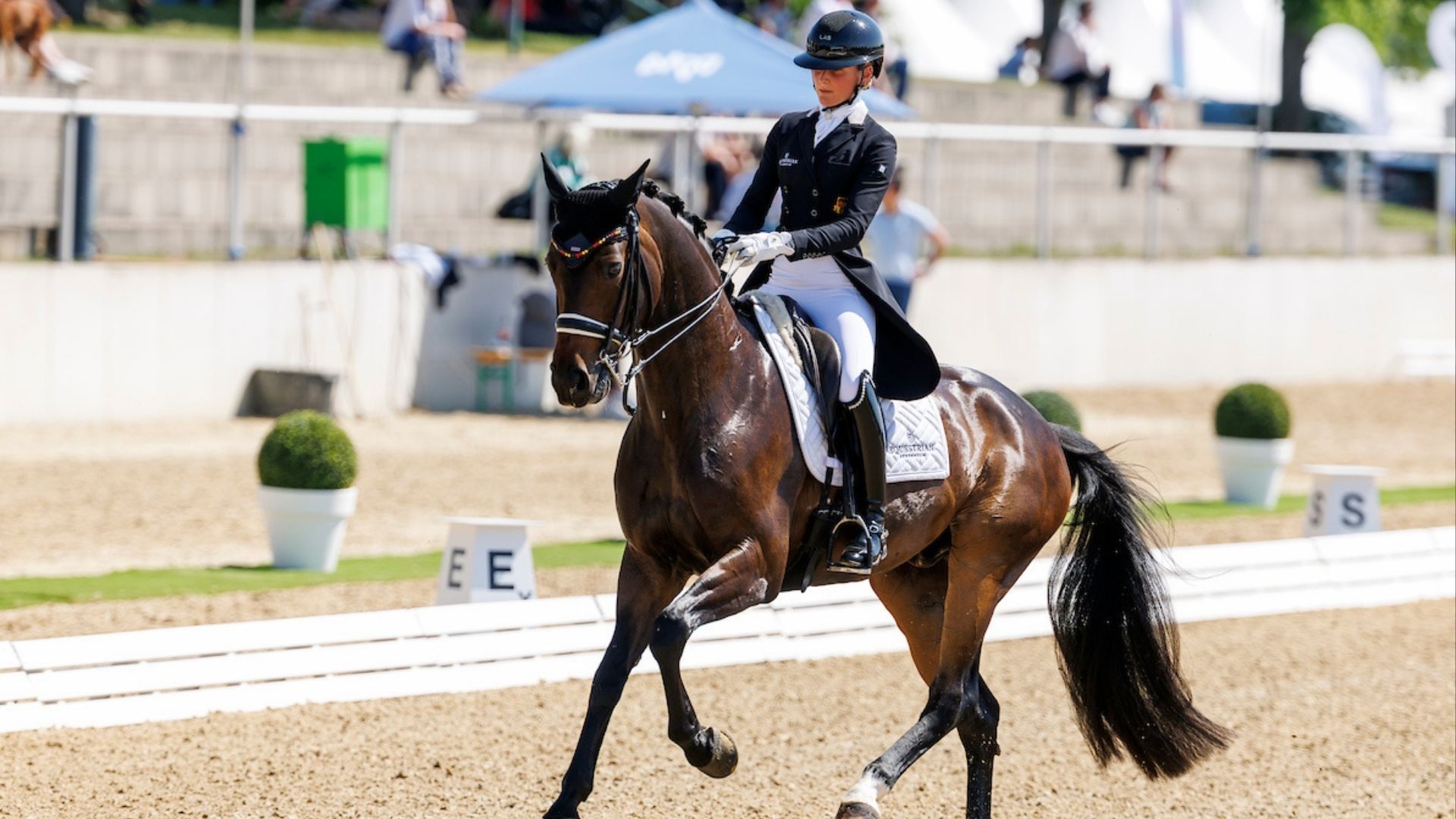 Felicitas Hendricks wird Zweite im CDI5* Grand Prix Freestyle in Thermal