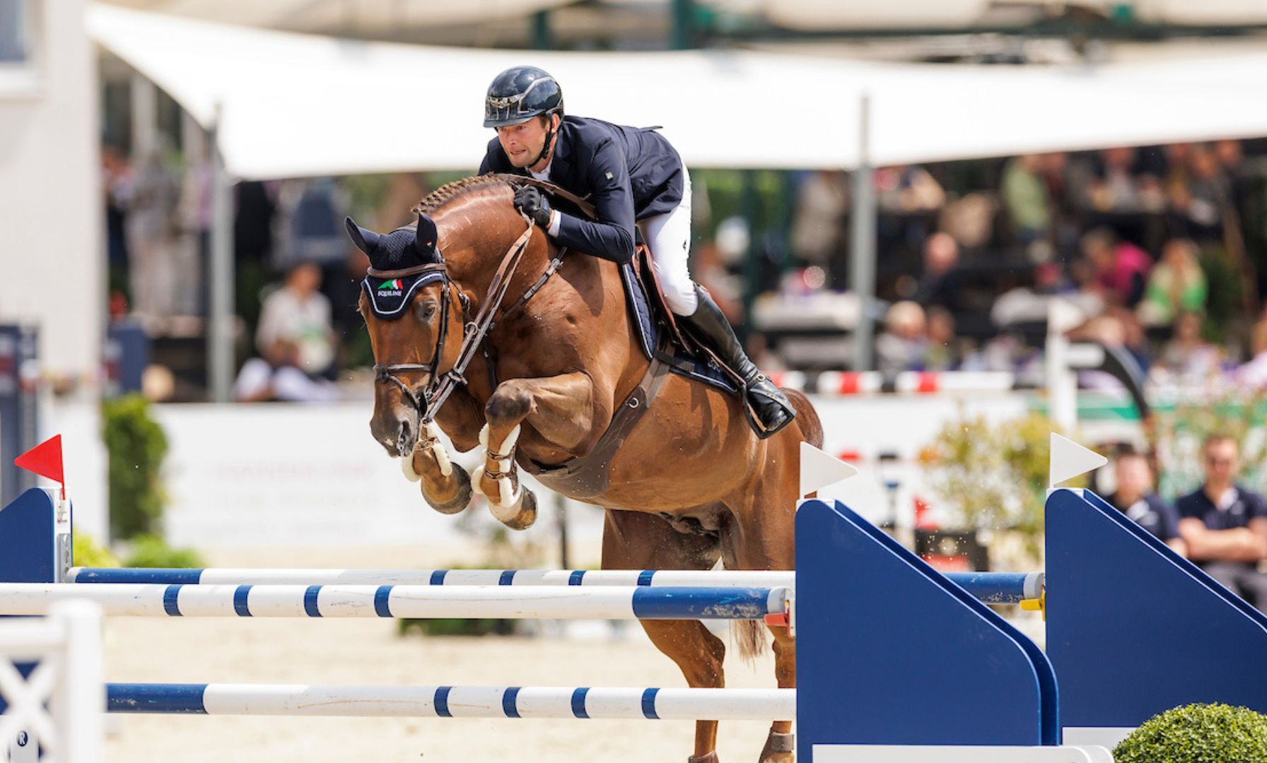 Drako de Maugre Continues Career in the United States