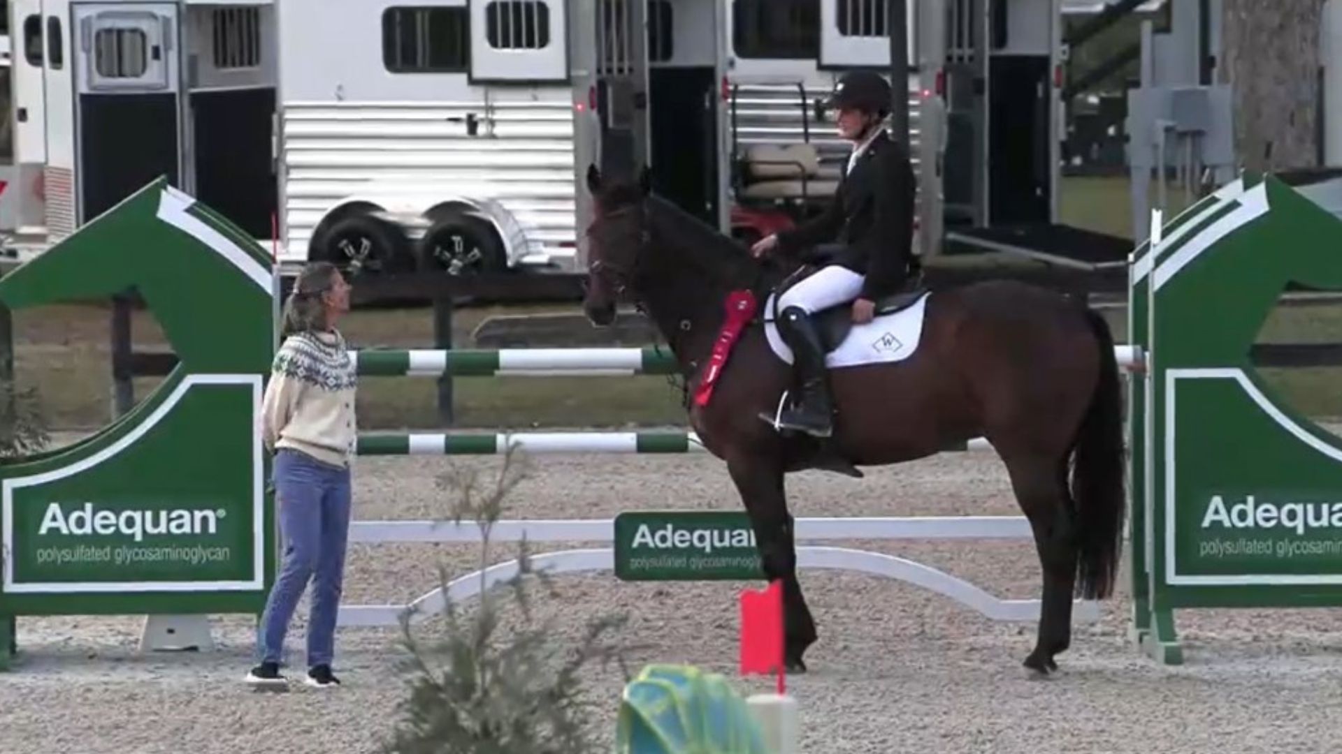 Timothy Maddrix and Neato Win the Adequan Open Welcome at HITS Ocala
