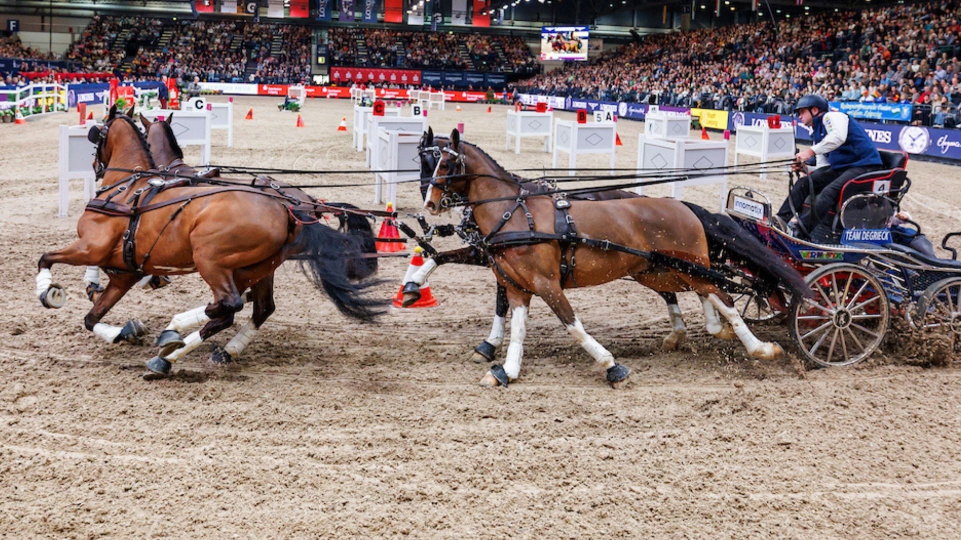 Dries Degrieck aus Belgien gewinnt das FEI DRIVING WORLD CUP™ FINAL
