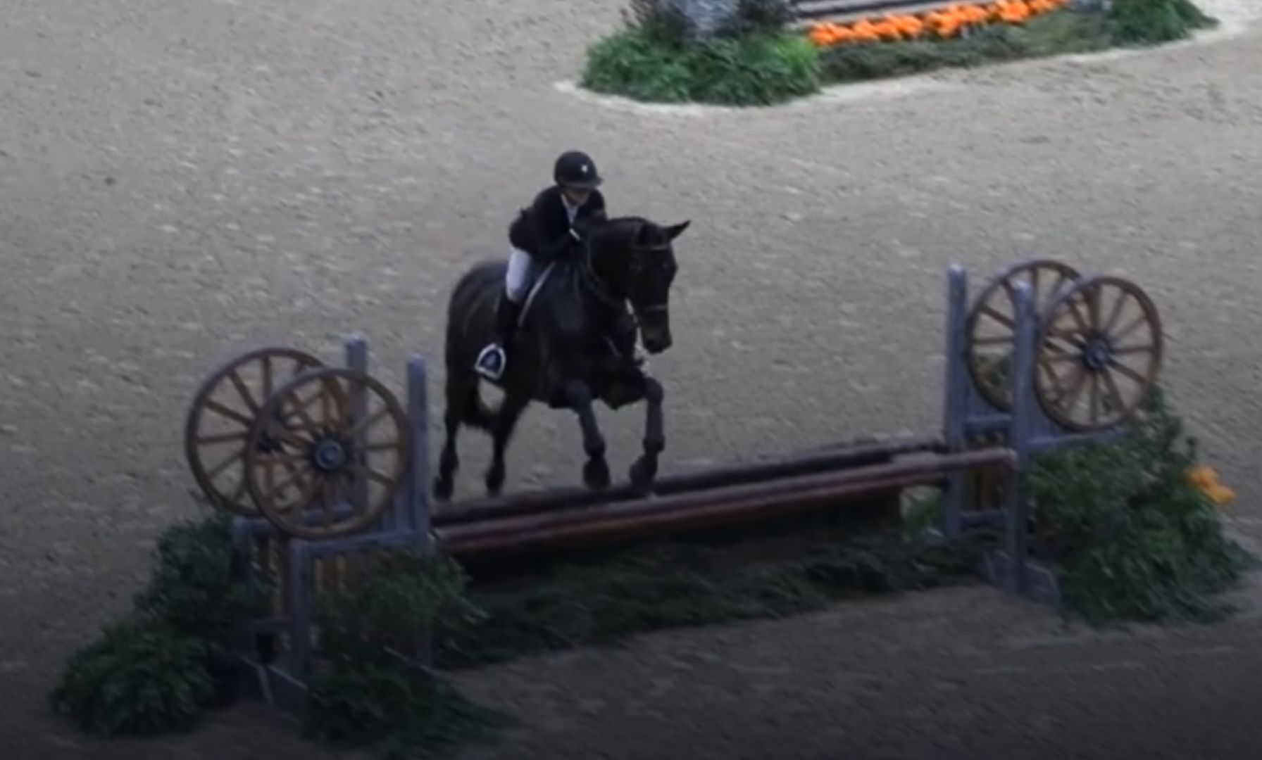 Lori Donfrancesco Captures Victory in Adult Equitation Championship 36+