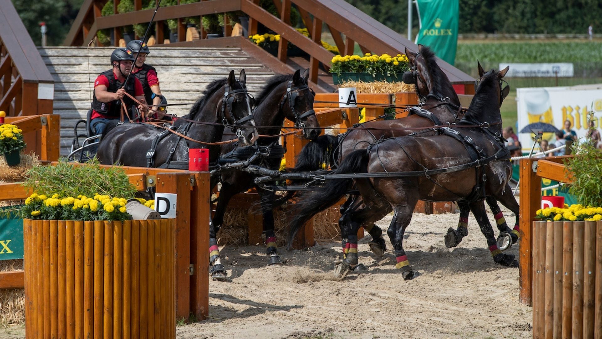 Fahrsport-Highlight 2025: EM und WM gemeinsam in Niedersachsen