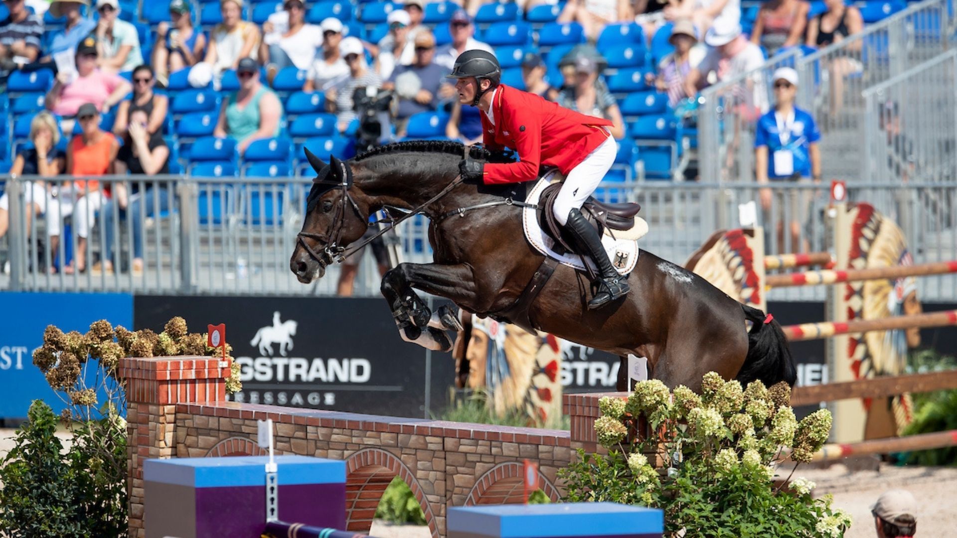 Hengst Don Diarado ist wieder im Stall von Maurice Tebbel