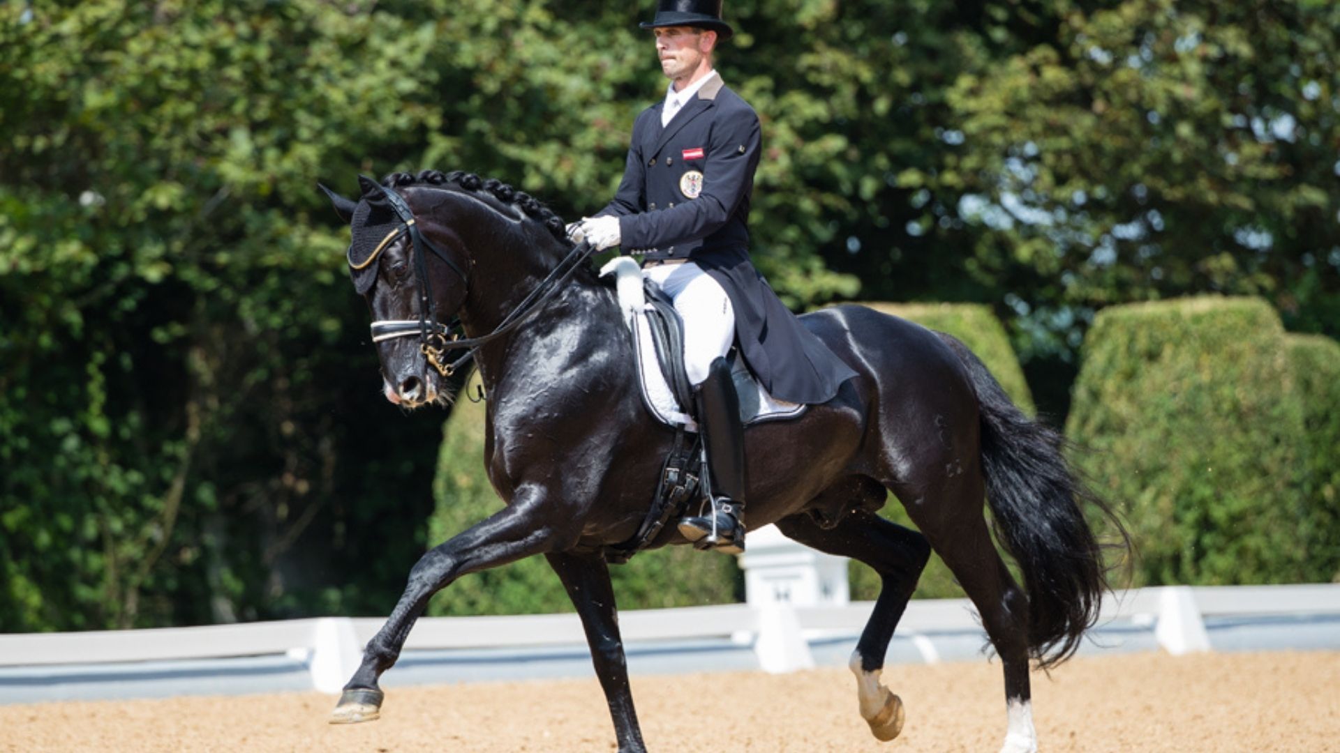Medikationsfall bei Dressurreiter Stefan Lehfellner aufgedeckt