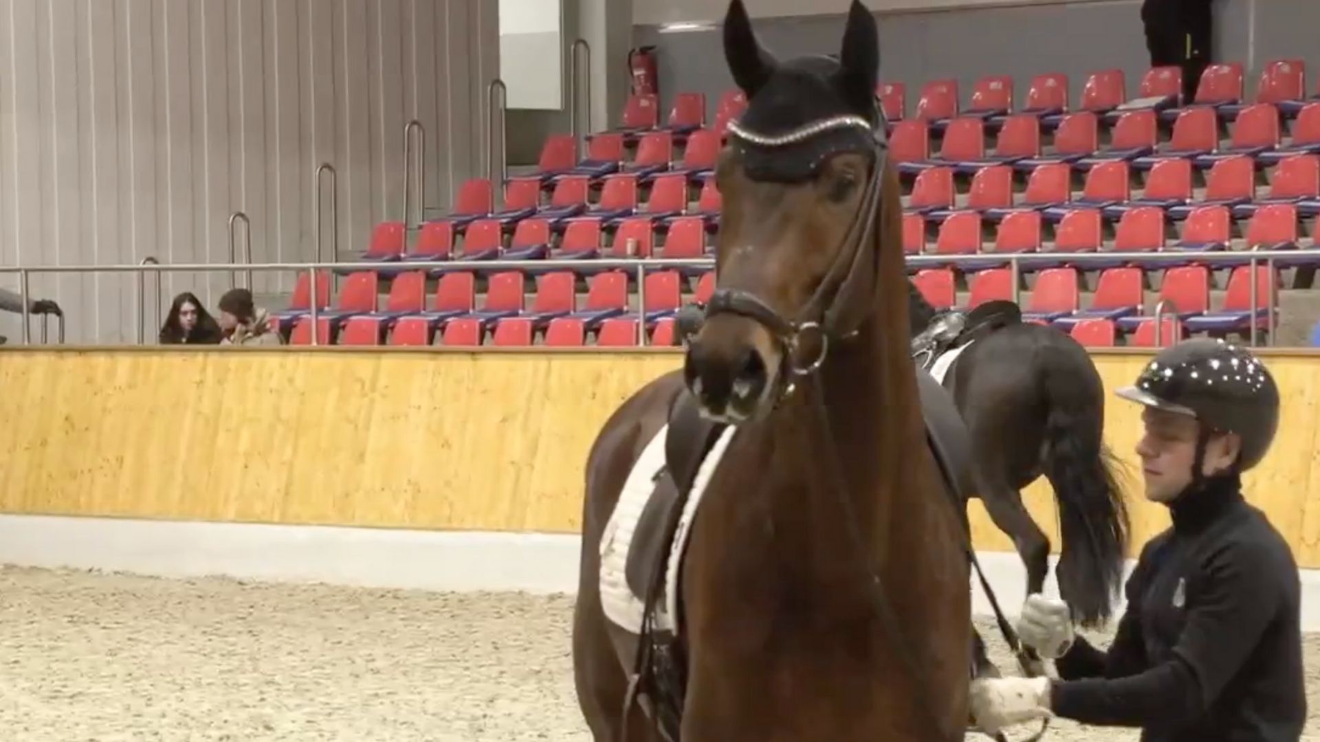 Veranlagungstest Dressur: 9,5 in der Rittigkeit für Valerian