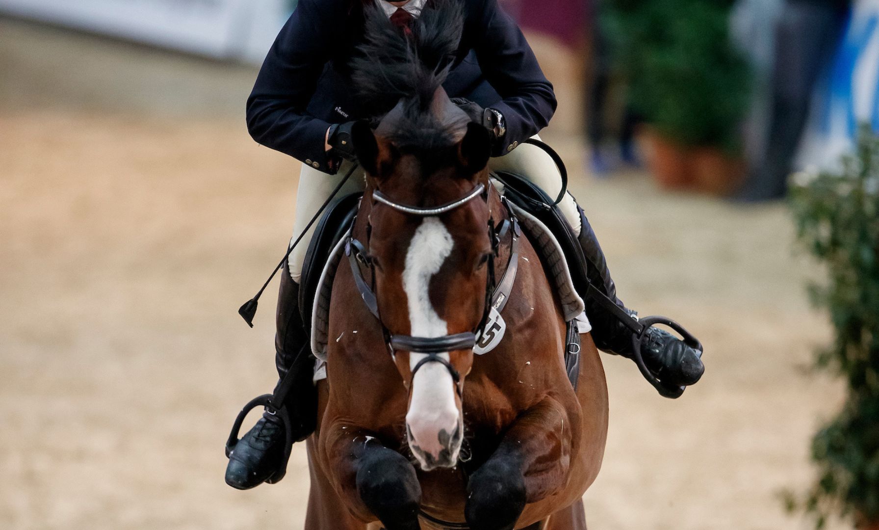 Luke Rinehart and The Diamant Rose Z Speed to Victory