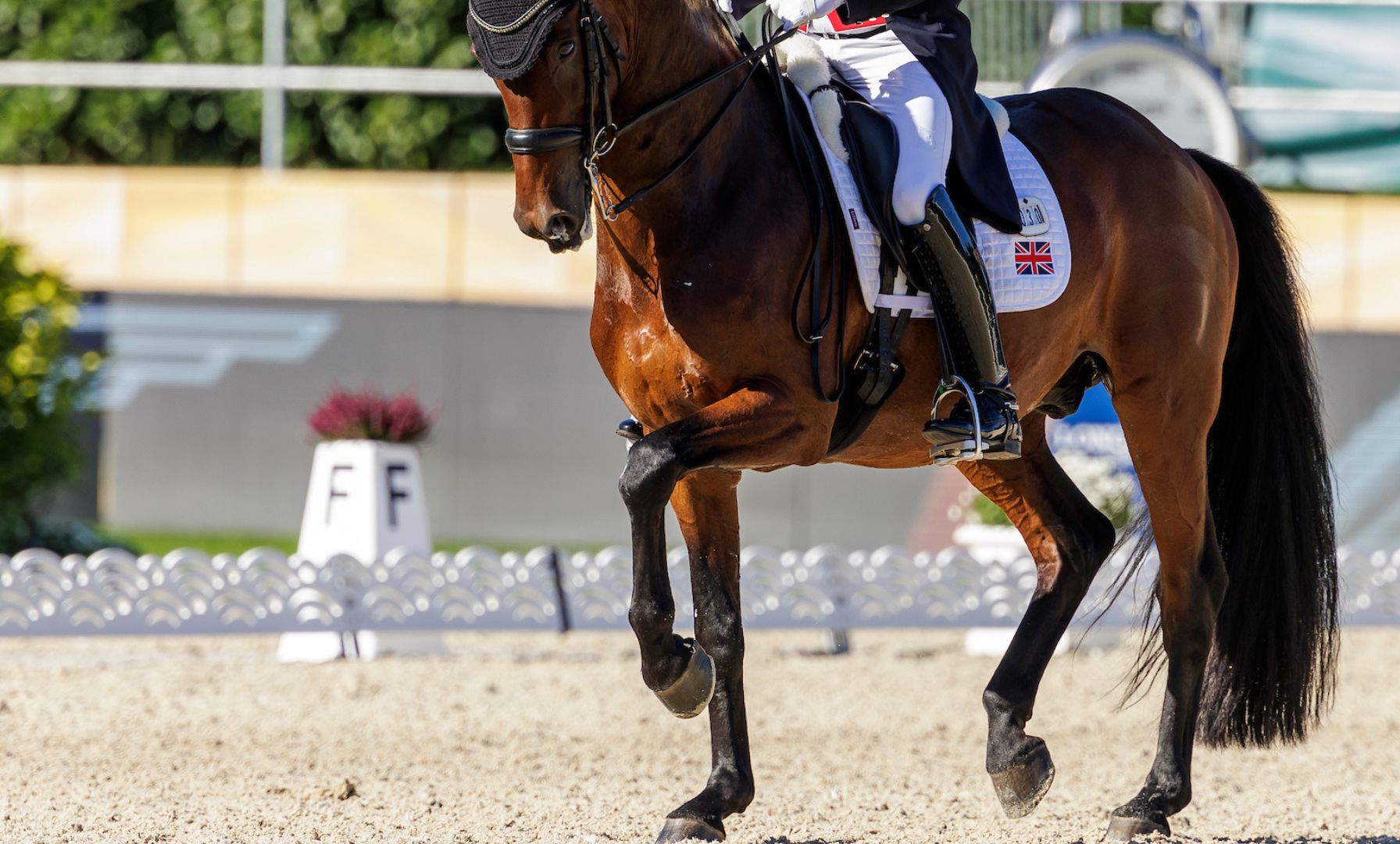 No WBFSH Trophy Event Scheduled This Year