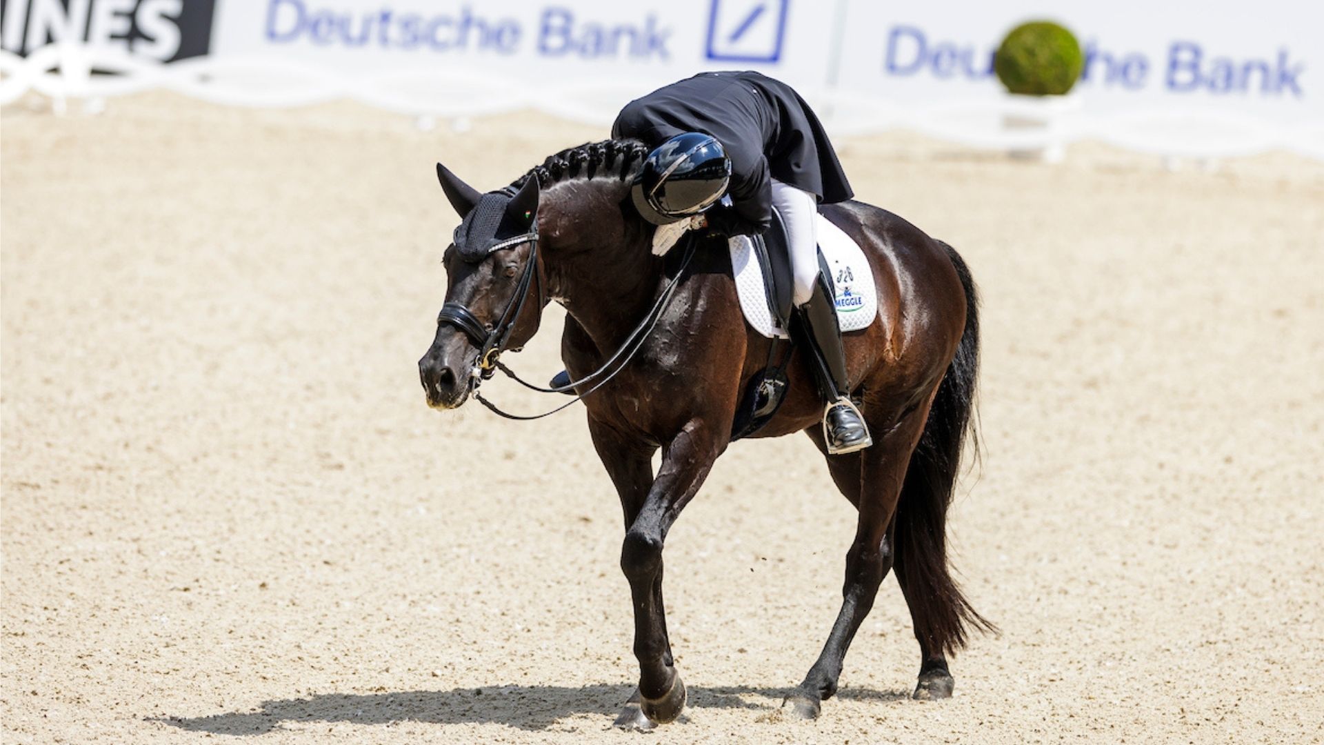 Meggle's Boston aus dem Sport verabschiedet - 10 Jahre Grand Prix Sport auf höchstem Niveau!