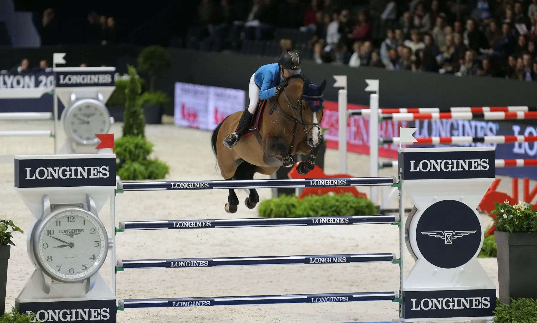 Contimaloua PS neu im Stall von Malin Baryard Johnsson