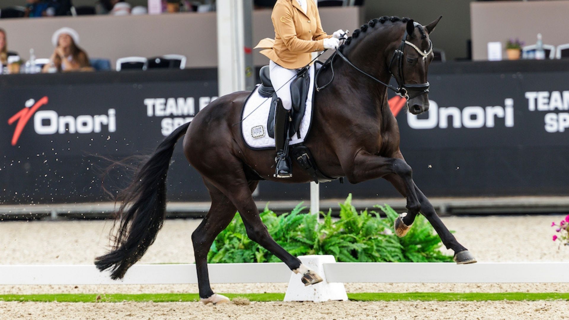 McMary, Perfect Ritme und Extreme U.S. gewinnen die Pavo Cup Finals 2025