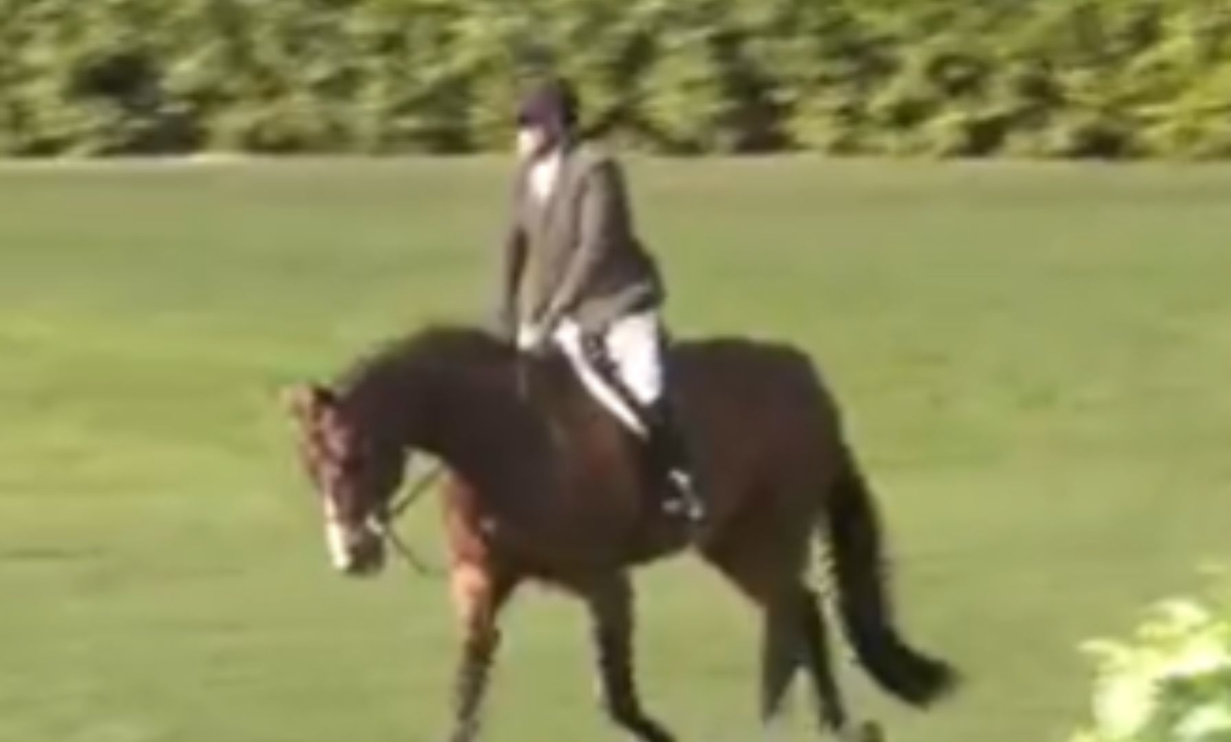 Dennehy Tops $49,900 USHJA International Hunter Derby at Desert Circuit VI