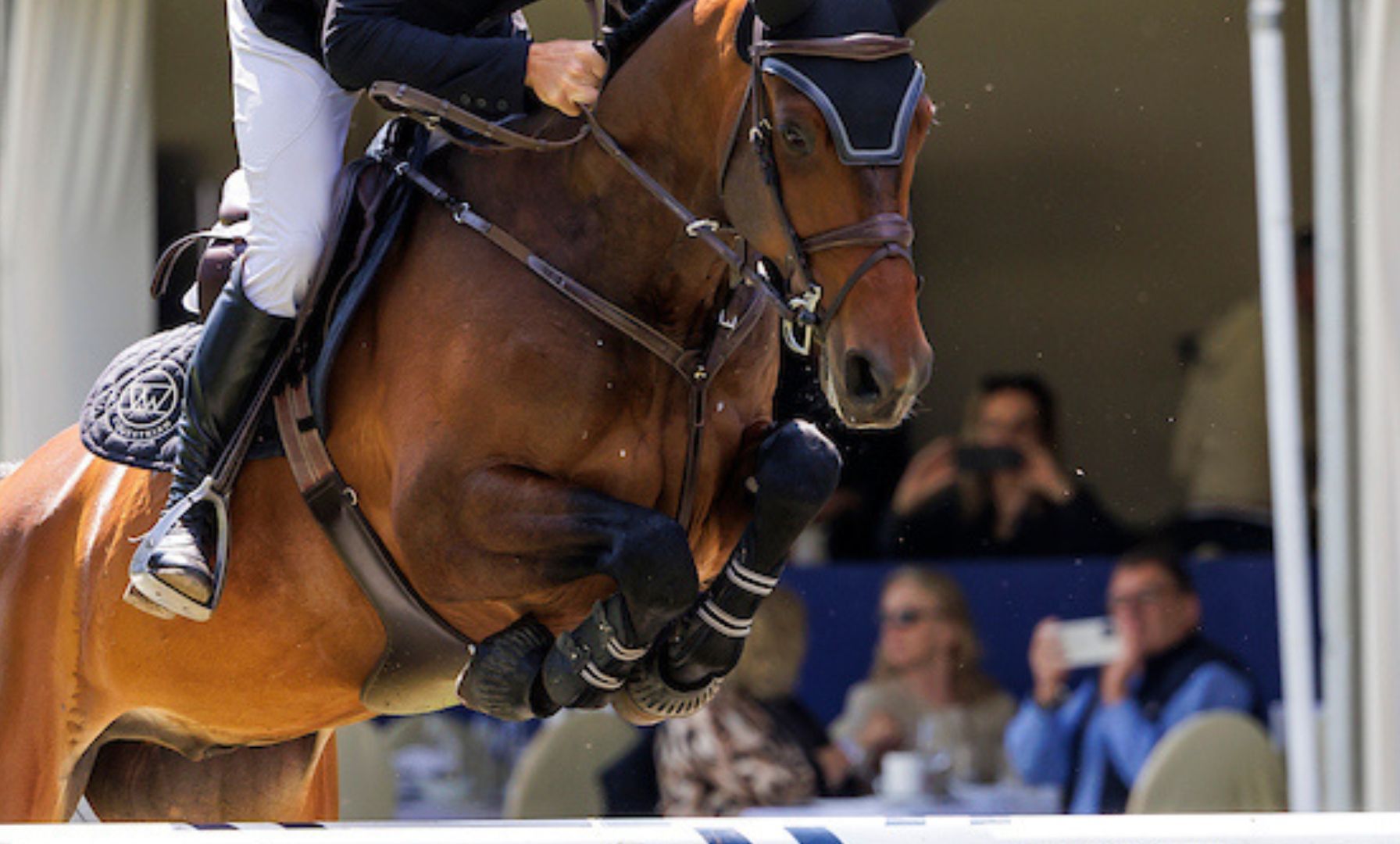 Zwei Top-Pferde verlassen Joshua Hutchins' Stall