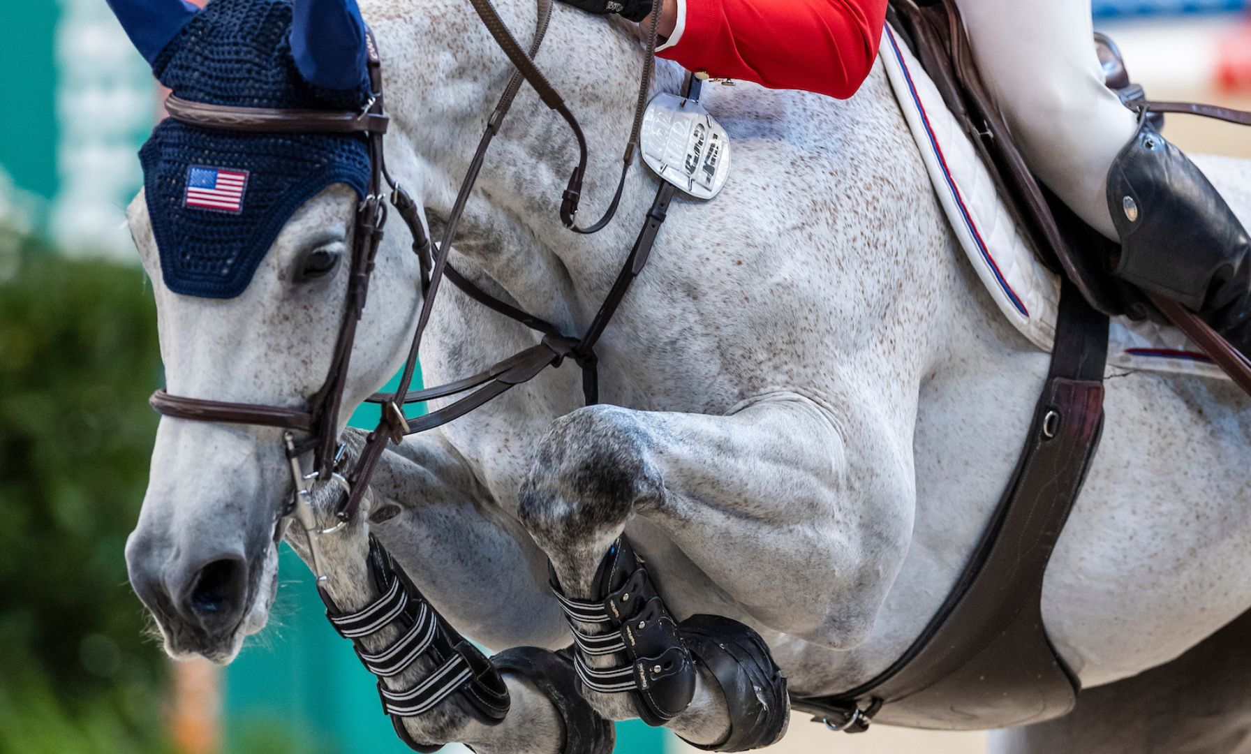 Hunter Holloway and Pepita Con Spita Clinch Five-Star Victory