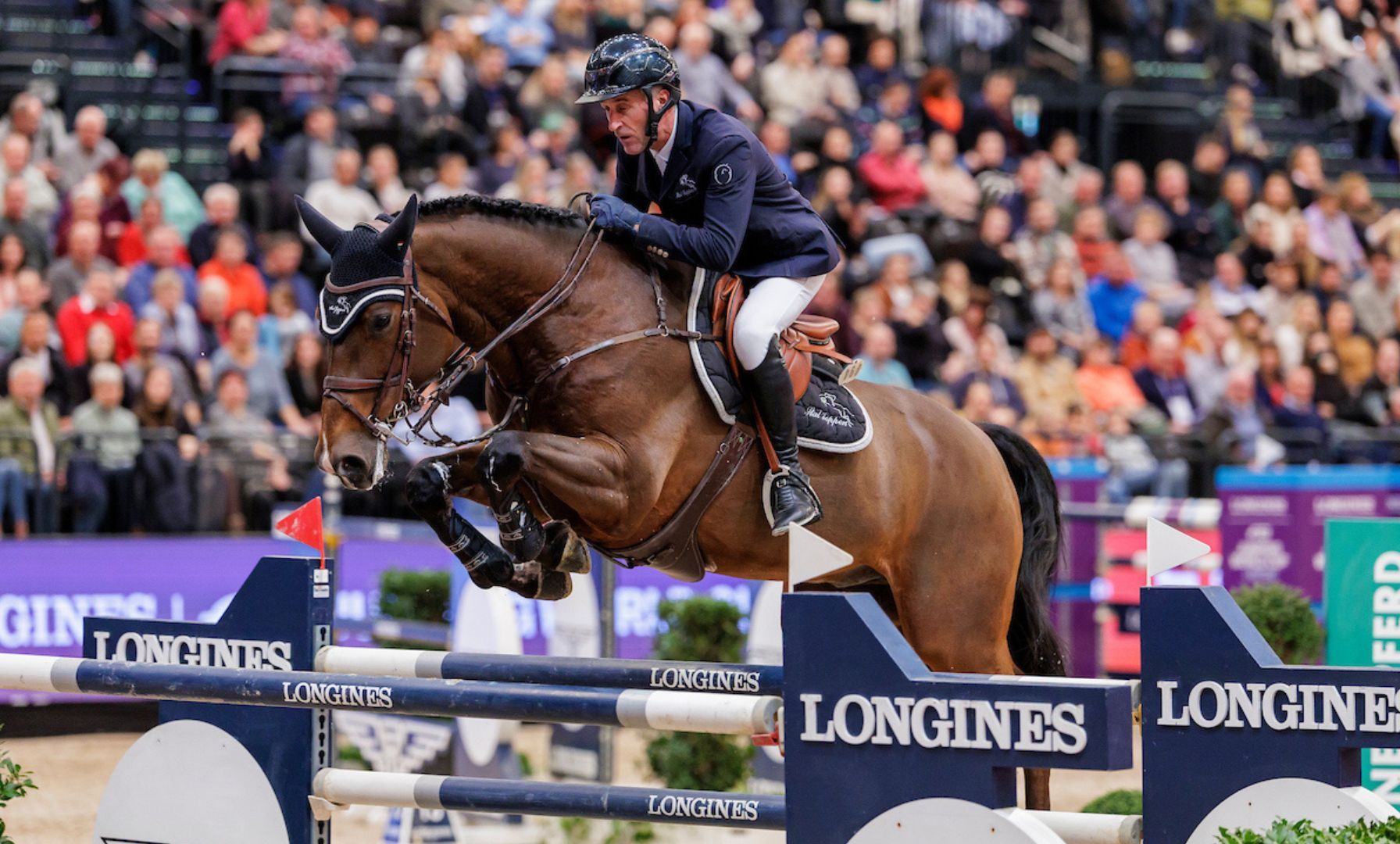 Havel van de Wolfsakker wechselt den Besitzer – Deirdre Reilly übernimmt Grand Prix-Pferd von Loewie Joppen