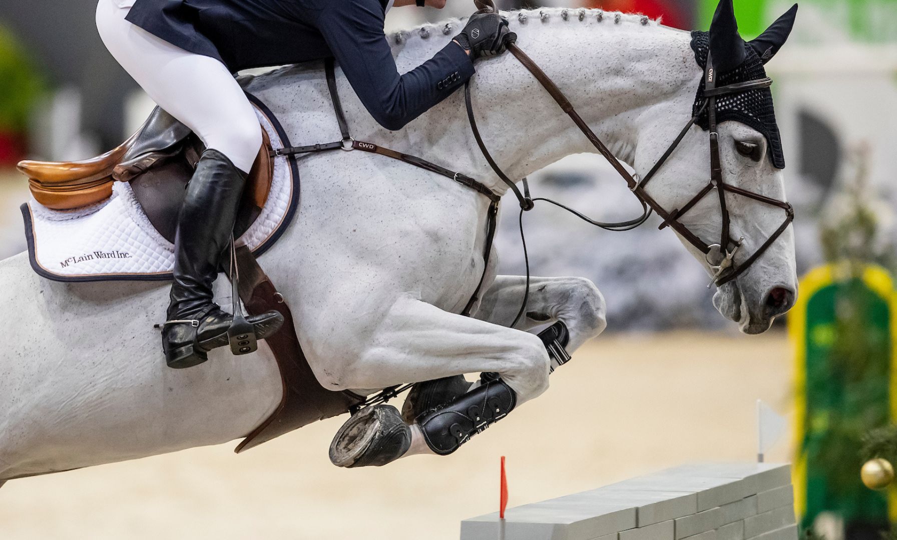 Olympic Gold Medallist Romeo 88 Retires at Age 16