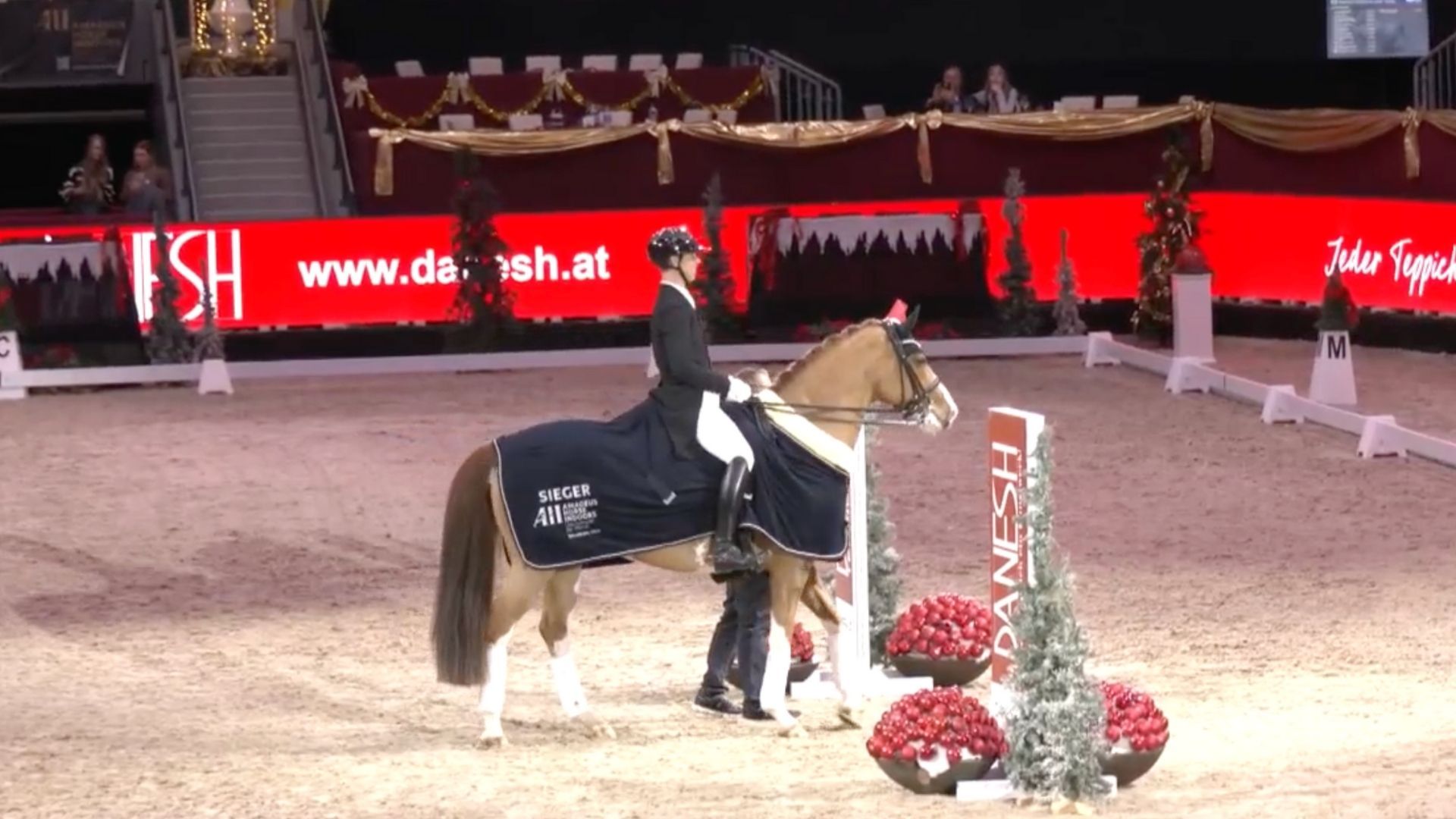 Sieg für Benjamin Werndl und Quick Decision in Salzburg!