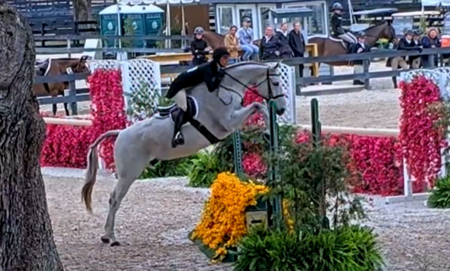 Hopkins Dominates $2,500 USHJA National Hunter Derby at HITS Ocala