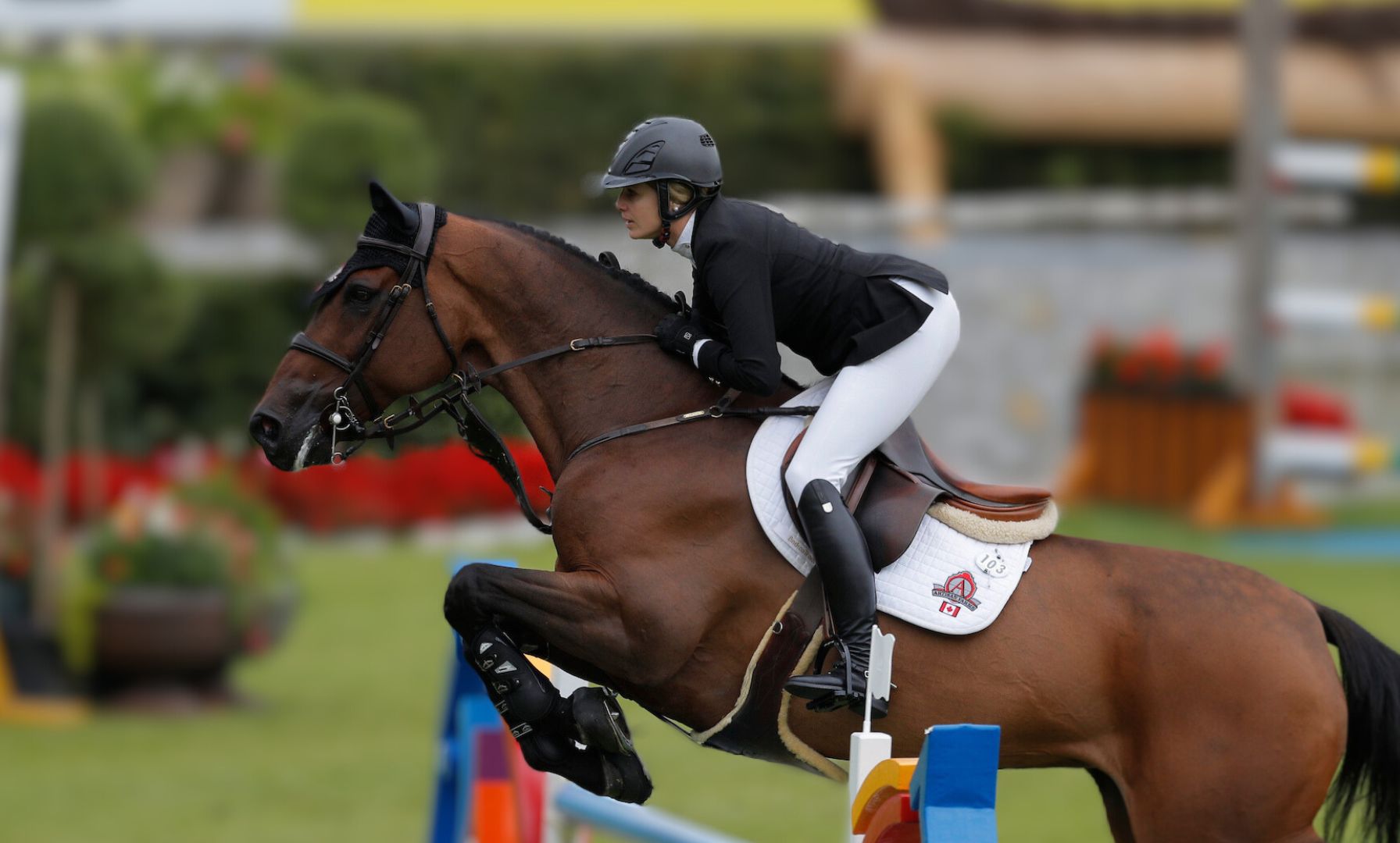 Tiffany Foster and Anton Capture the FEI $20,000 TBIRD Challenge 1.45m Victory