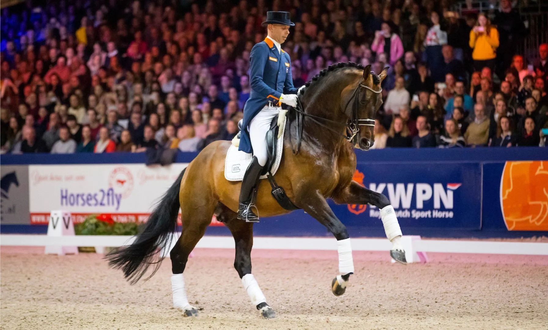 Kannan, Johnson & OBOS Quality: Diese Hengste dominieren den internationalen Sport