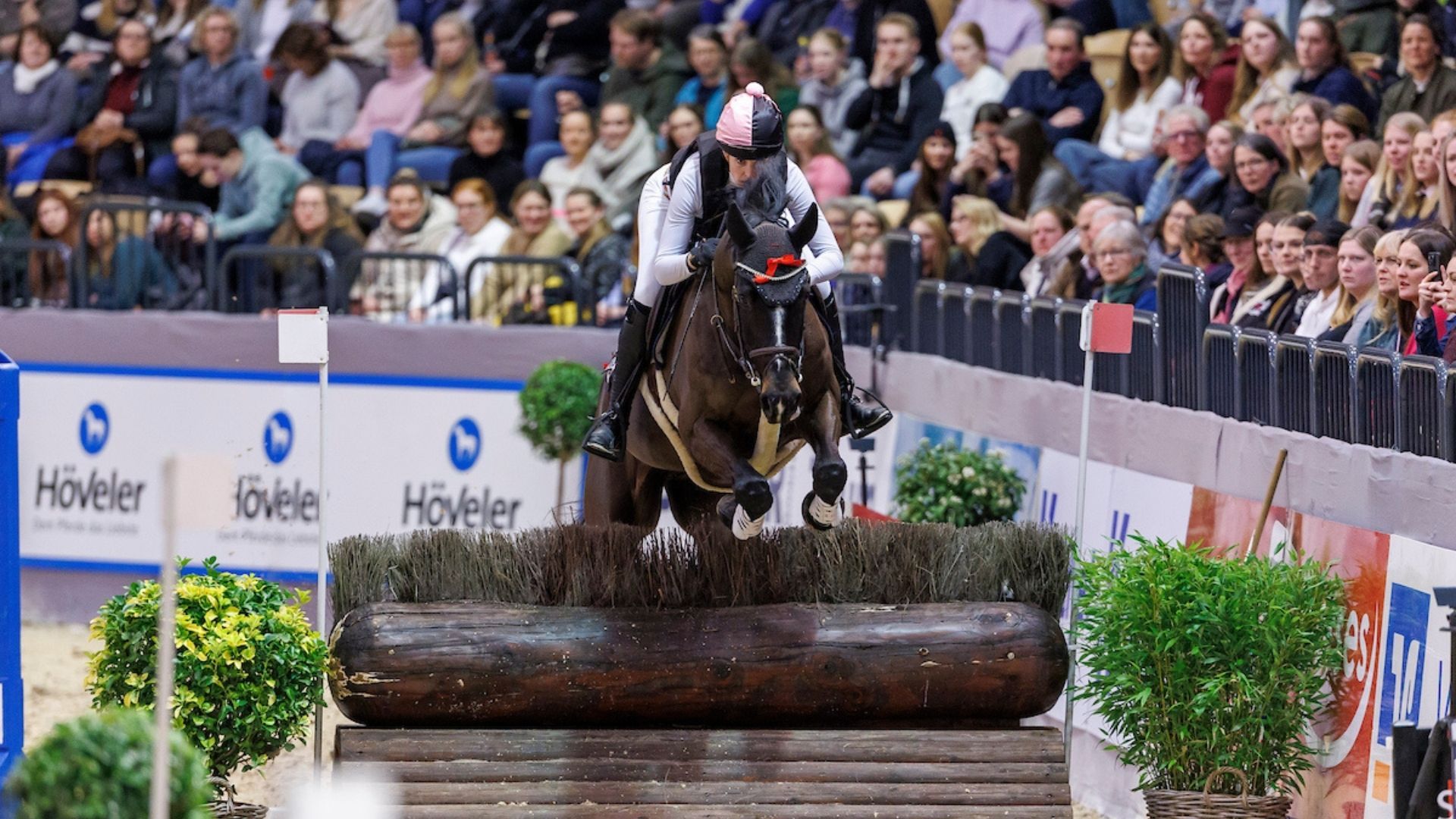 Neumünster im Spring-, "Gelände"- und Dressursattel: Paula de Boer-Schwarz
