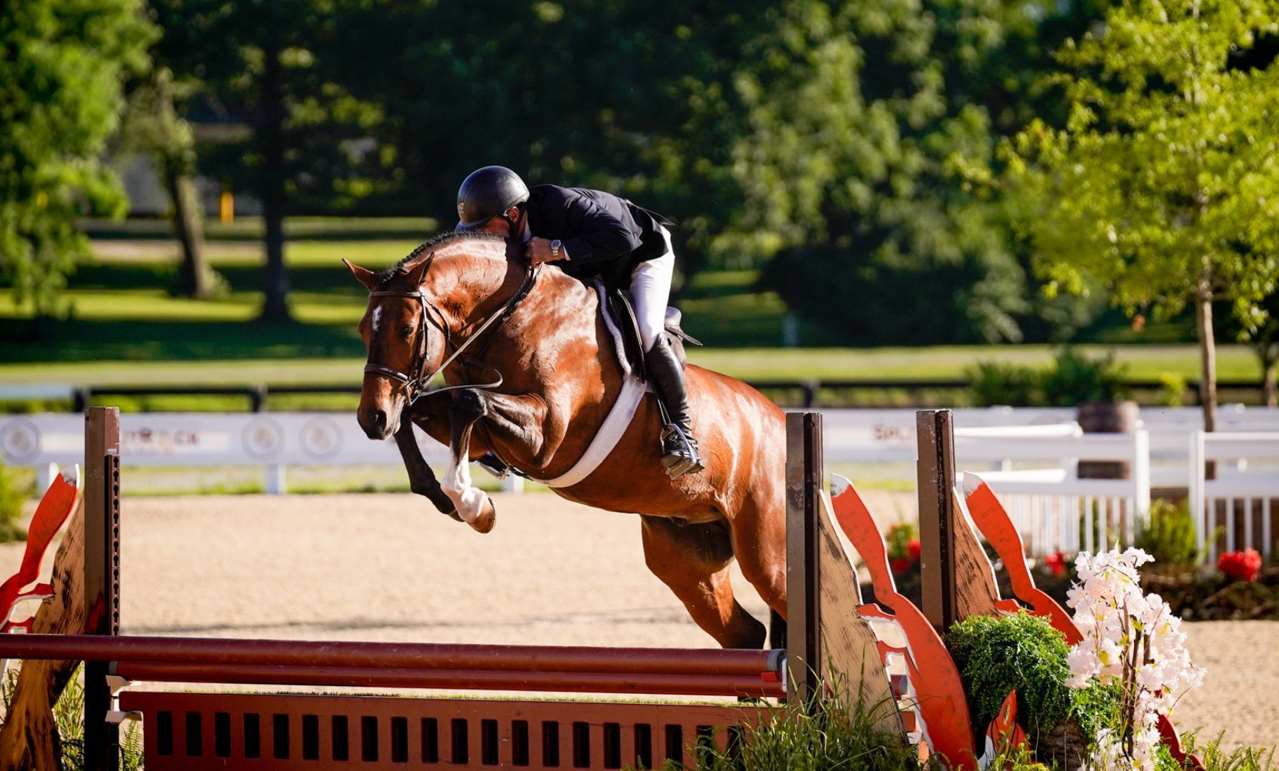 USHJA Contributes $21,000 to Equine Disaster Relief Fund
