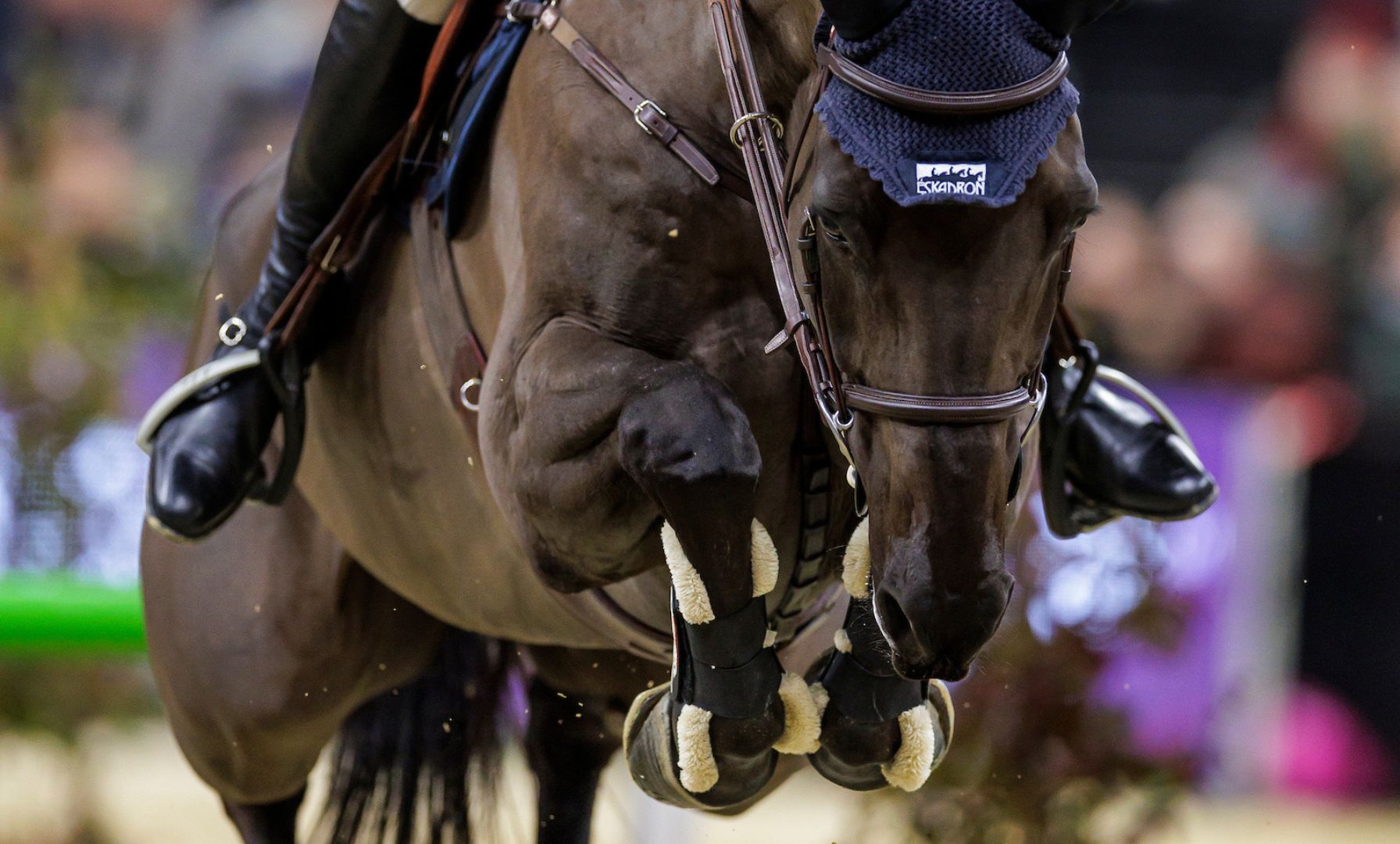 Olivia Cliver Closes Out Pin Oak Charity Horse Show with Commanding Victory