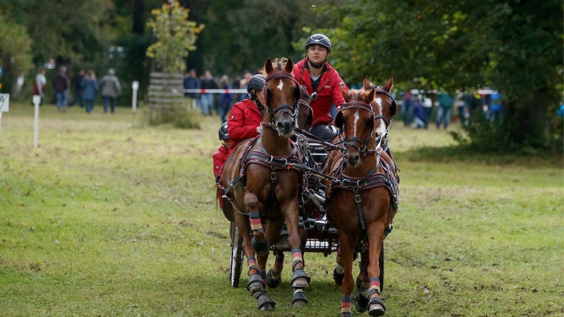 Steffen Brauchle verteidigt Meistertitel bei der Deutschen Meisterschaft der Ponyfahrer