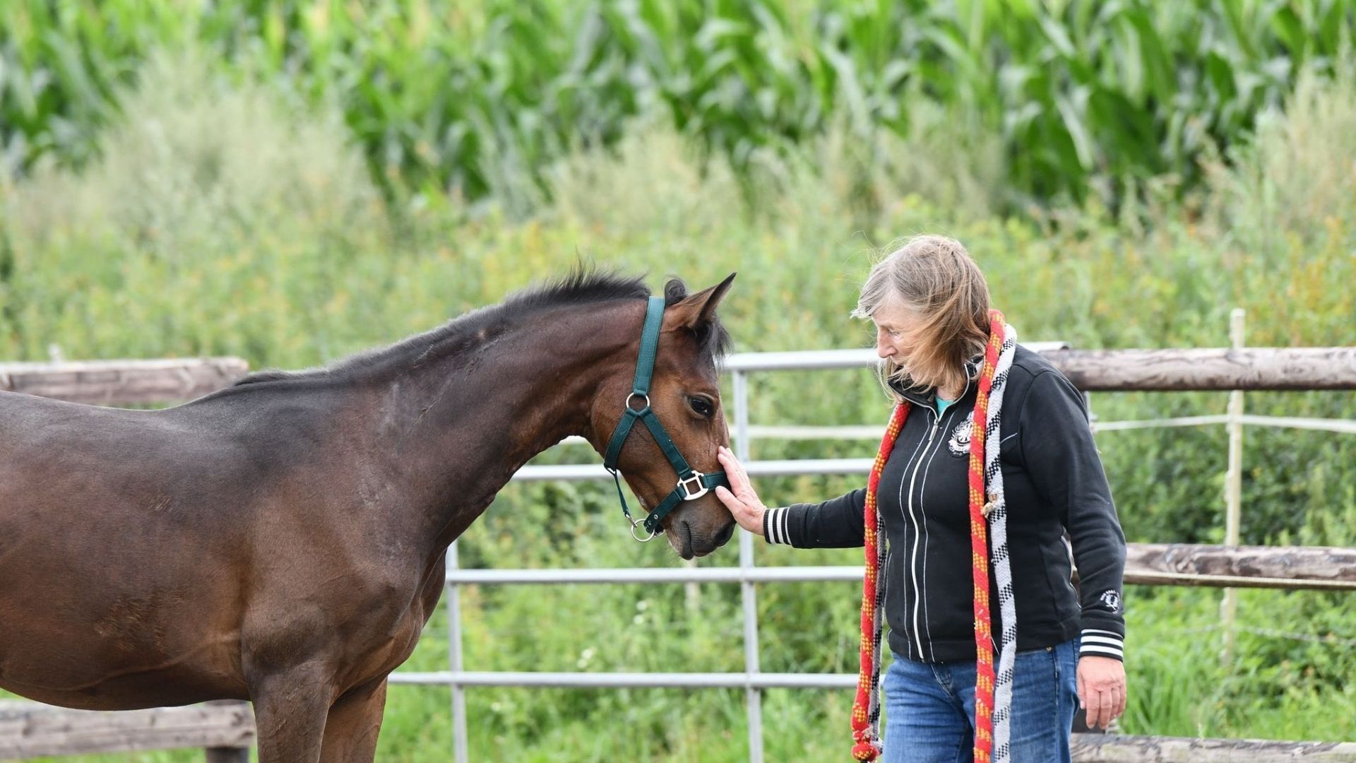 The Story of...Clippy Naseweiß