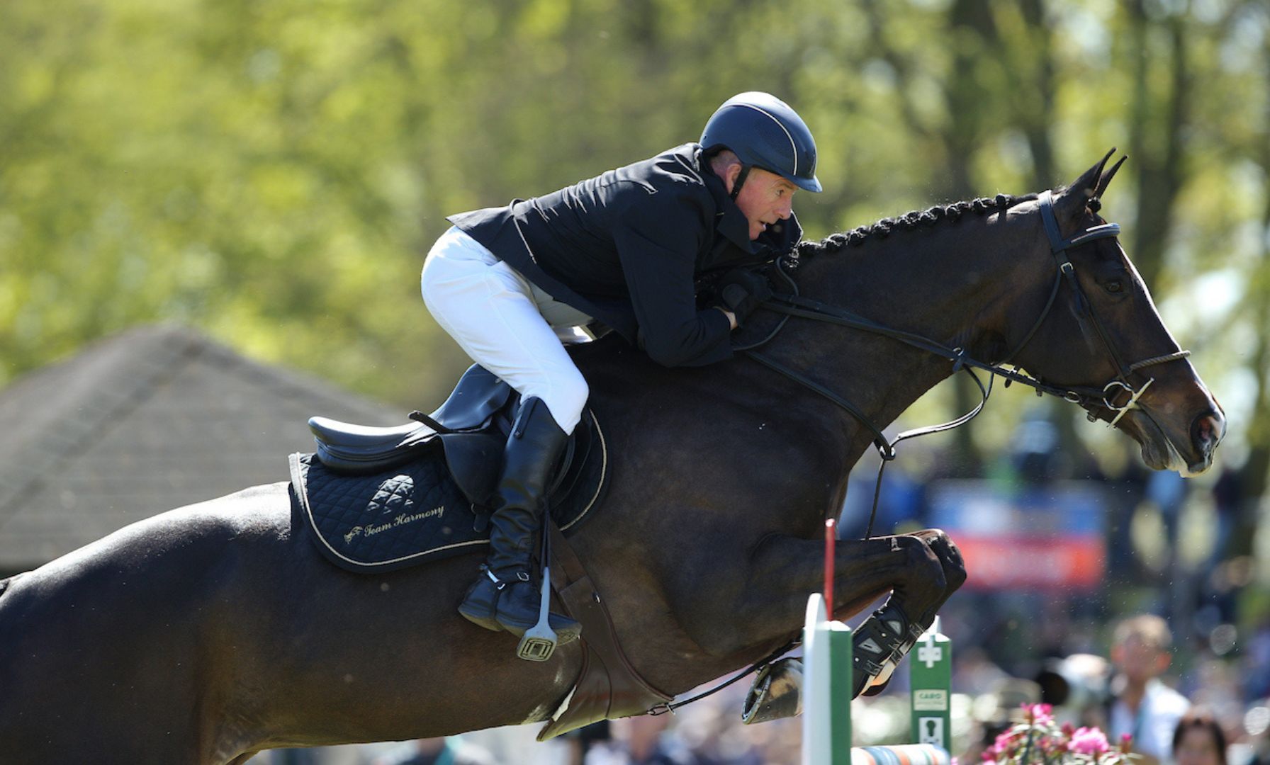 Olympiastute Ornellaia kehrt nach Großbritannien zurück