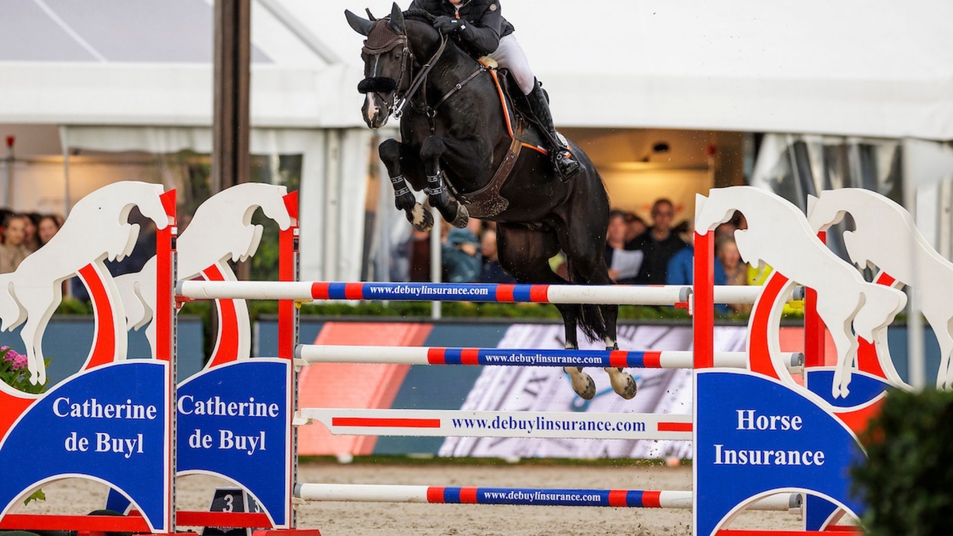 Vierter Platz für Patrick Stühlmeyer im CSI3* Grand Prix - St Tropez Gassin