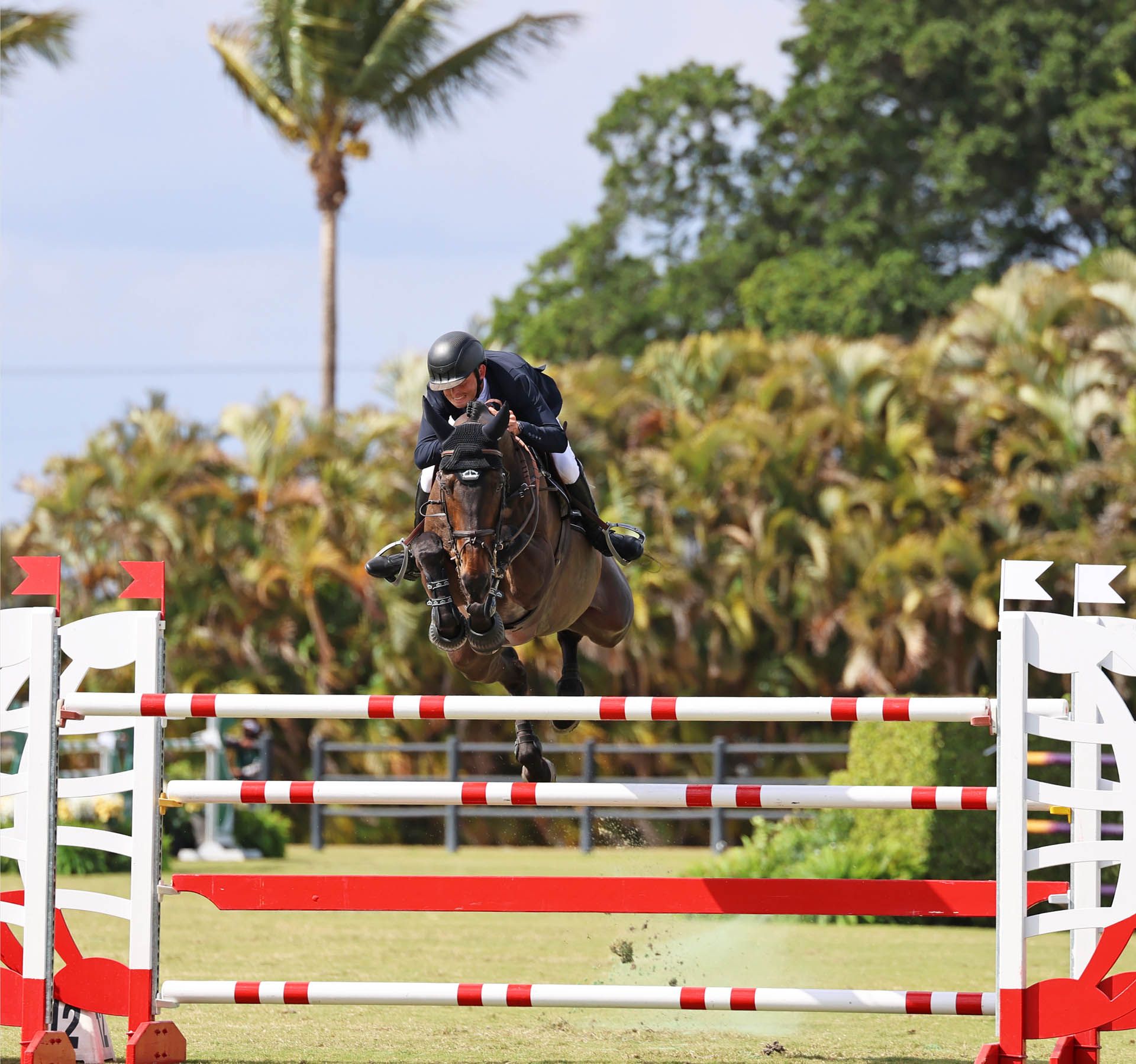 Bertram Allen Wins Wellington CSI3* Grand Prix on Pacino Amiro