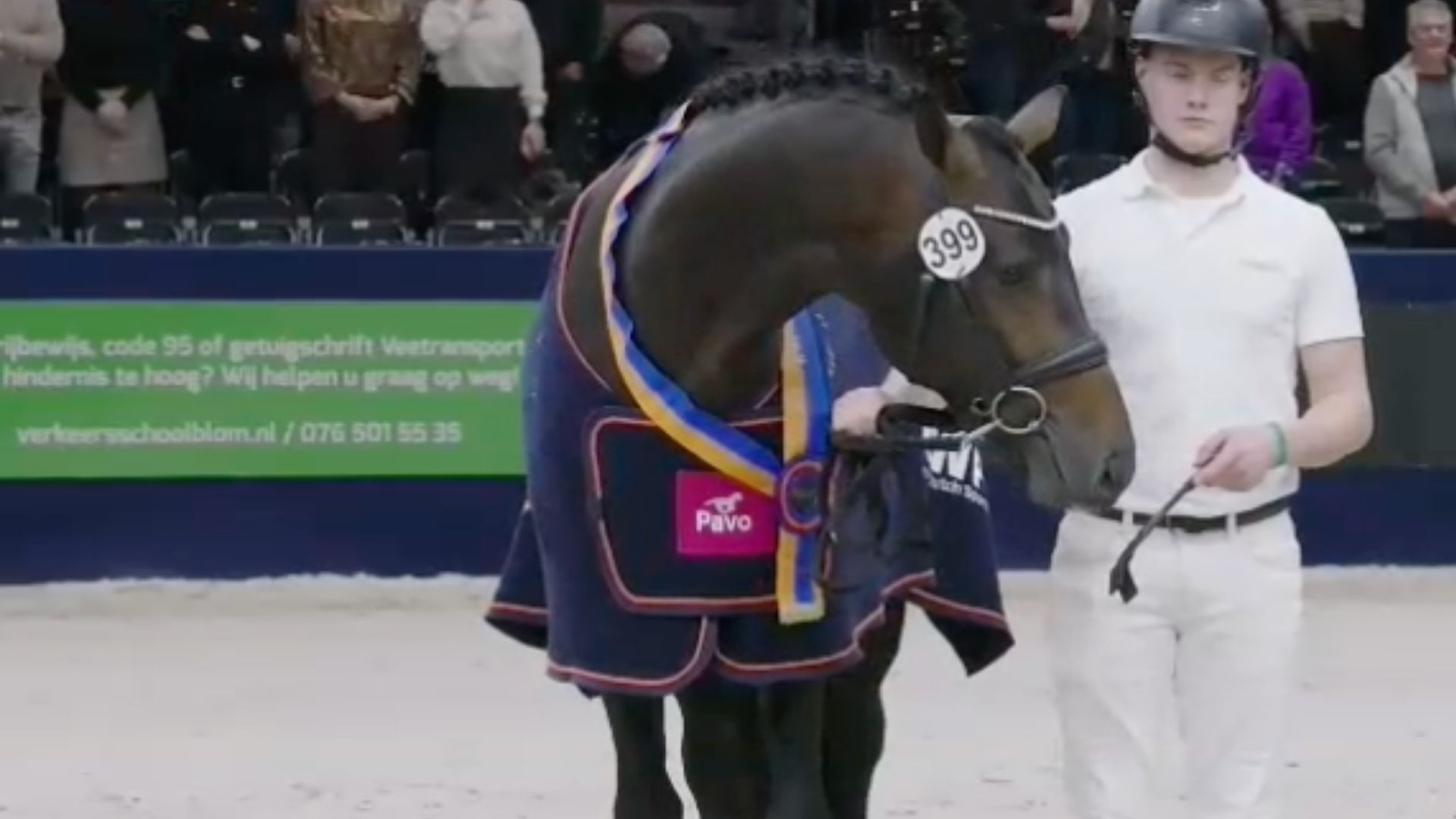 Tony Gold heißt der Siegerhengst der Dressurpferde bei der KWPN-Körung